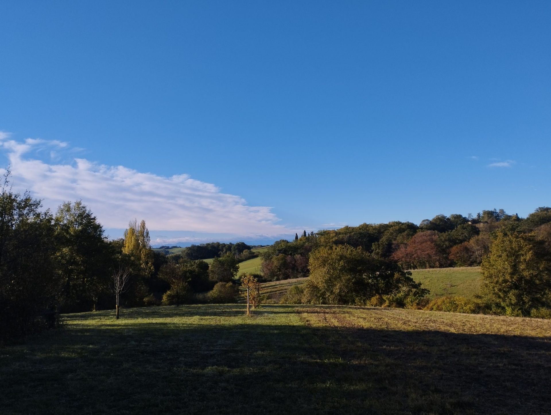 Hus i Marciac, Occitanie 12365508