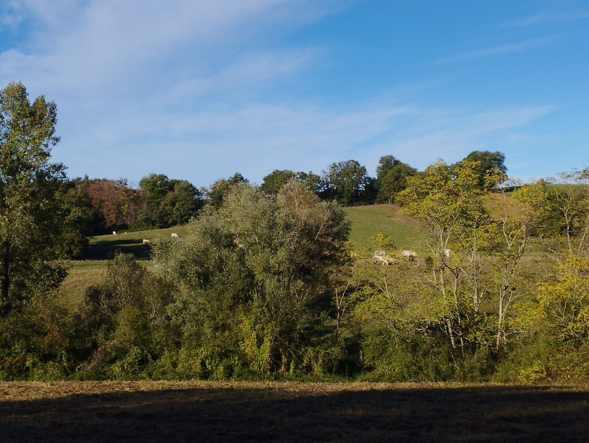 بيت في Marciac, Occitanie 12365508