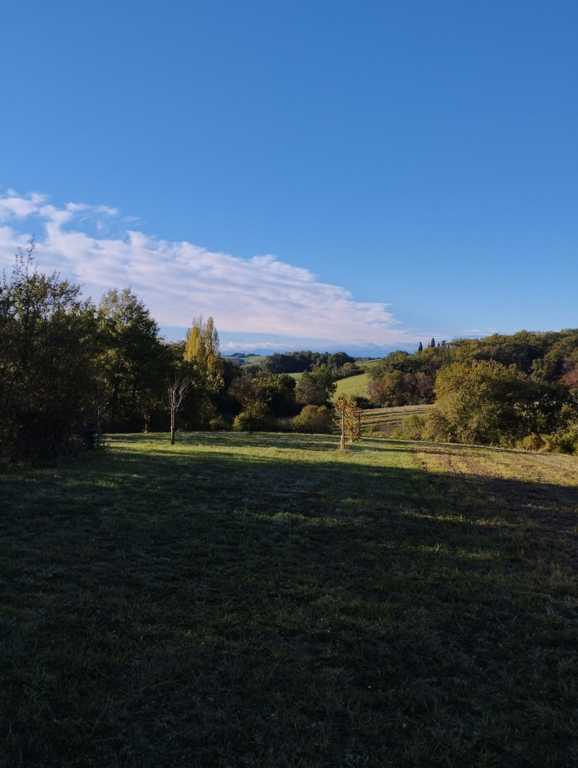 집 에 Marciac, Occitanie 12365508