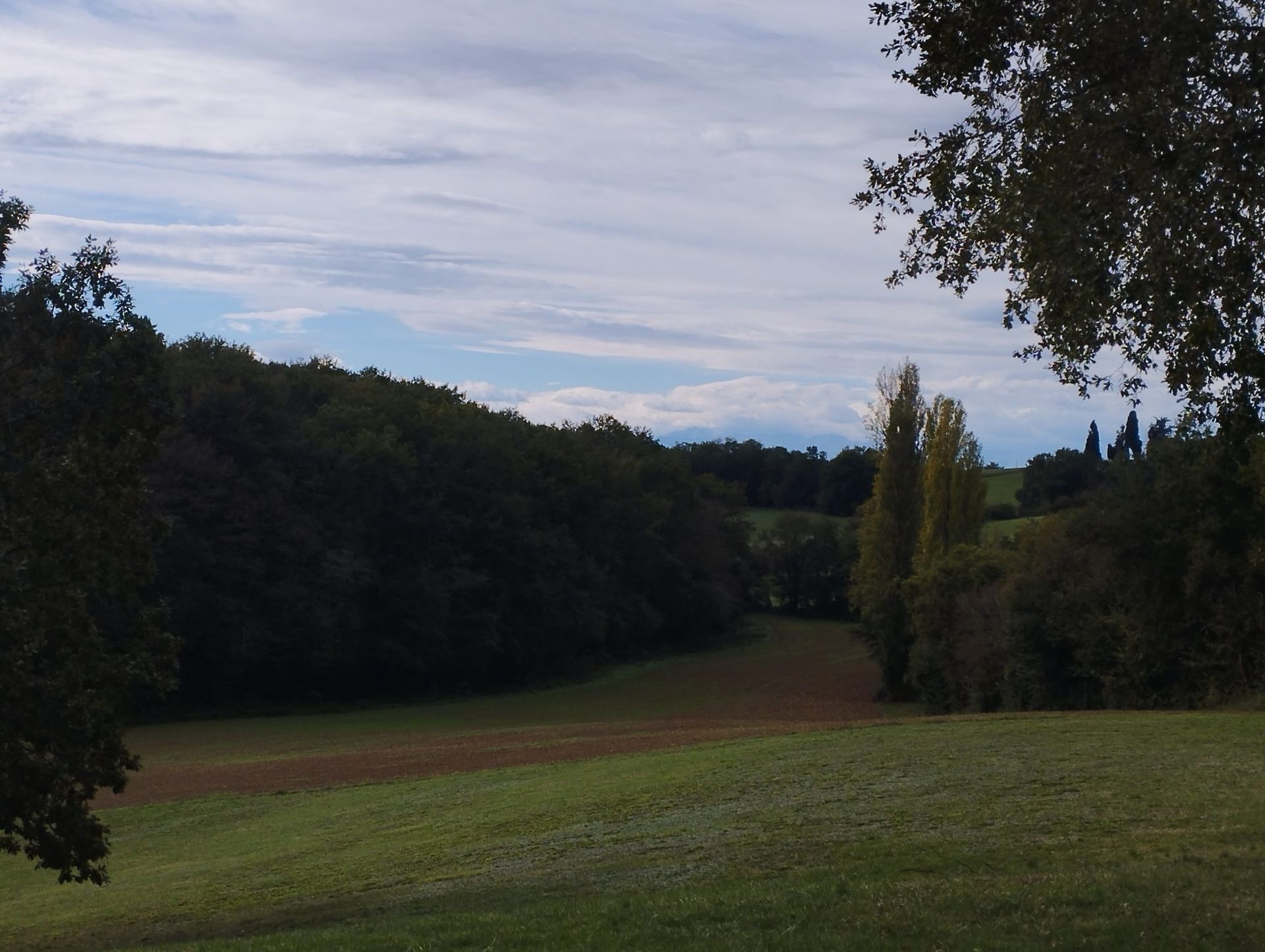 بيت في Marciac, Occitanie 12365508