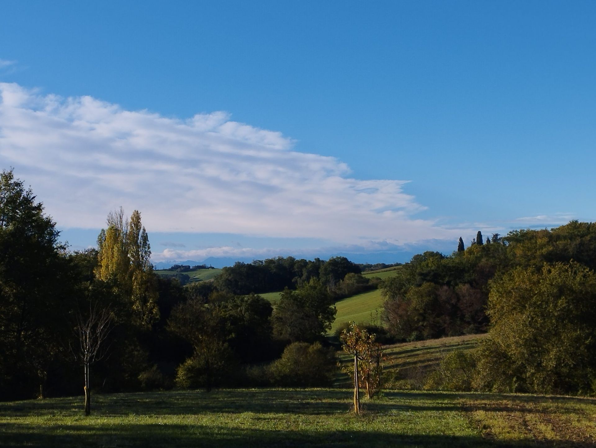 Hus i Marciac, Occitanie 12365508