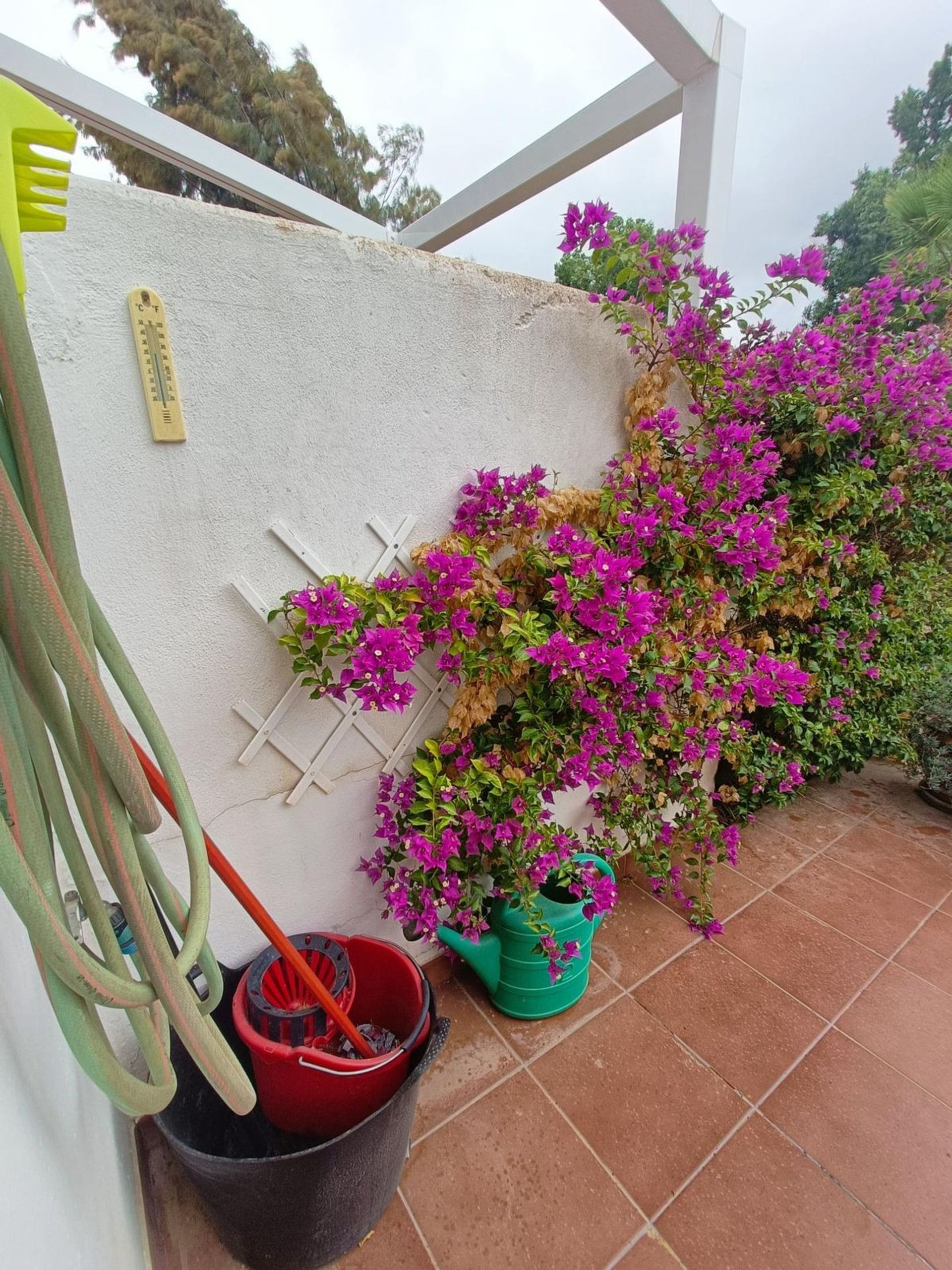 casa en Alhaurín de la Torre, Andalusia 12365649