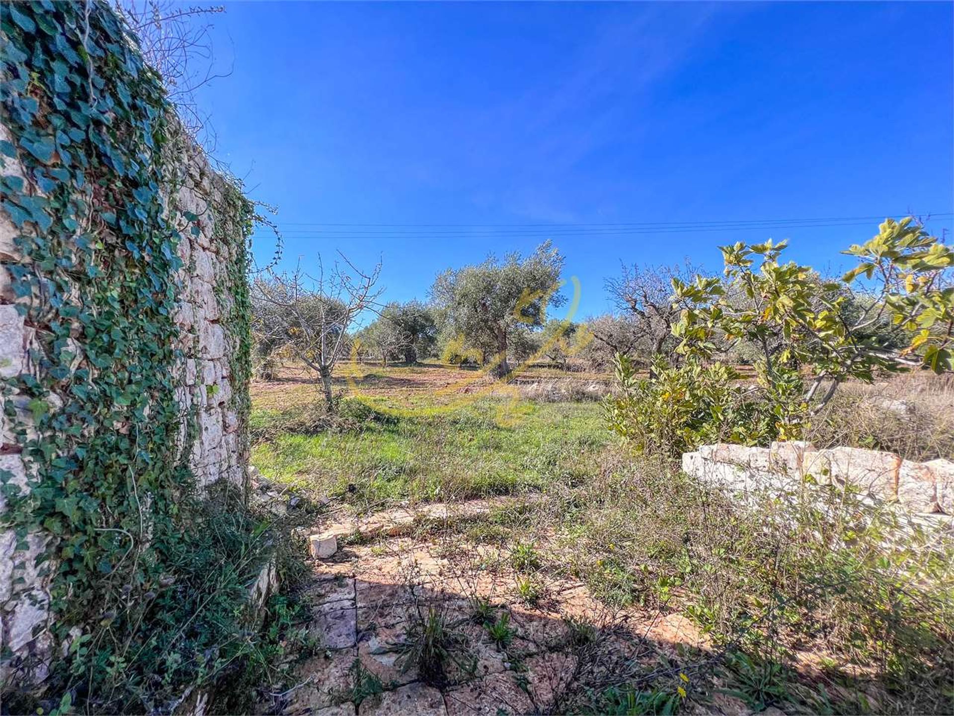 بيت في Castellana Grotte, Apulia 12365798