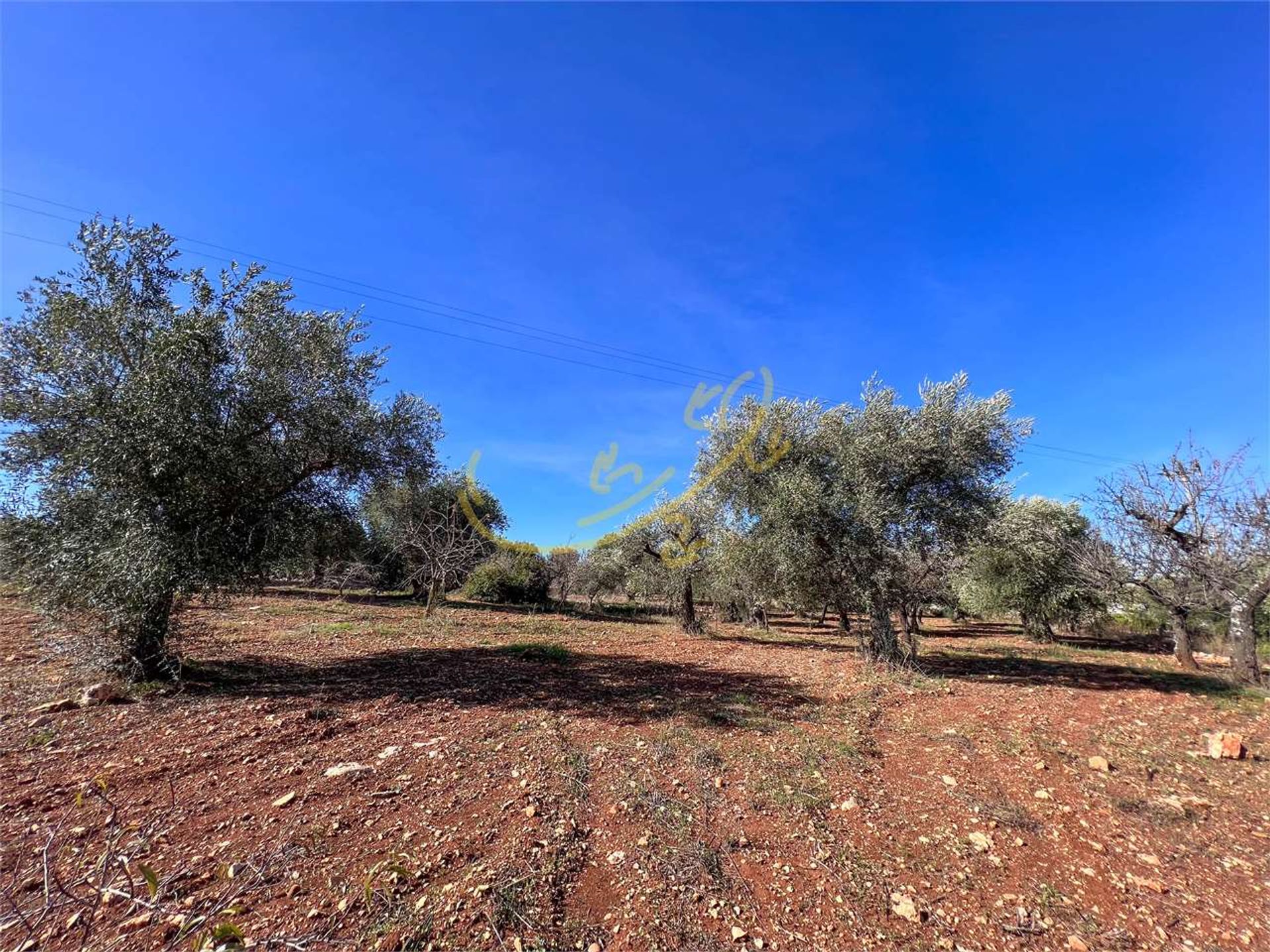 بيت في Castellana Grotte, Apulia 12365798