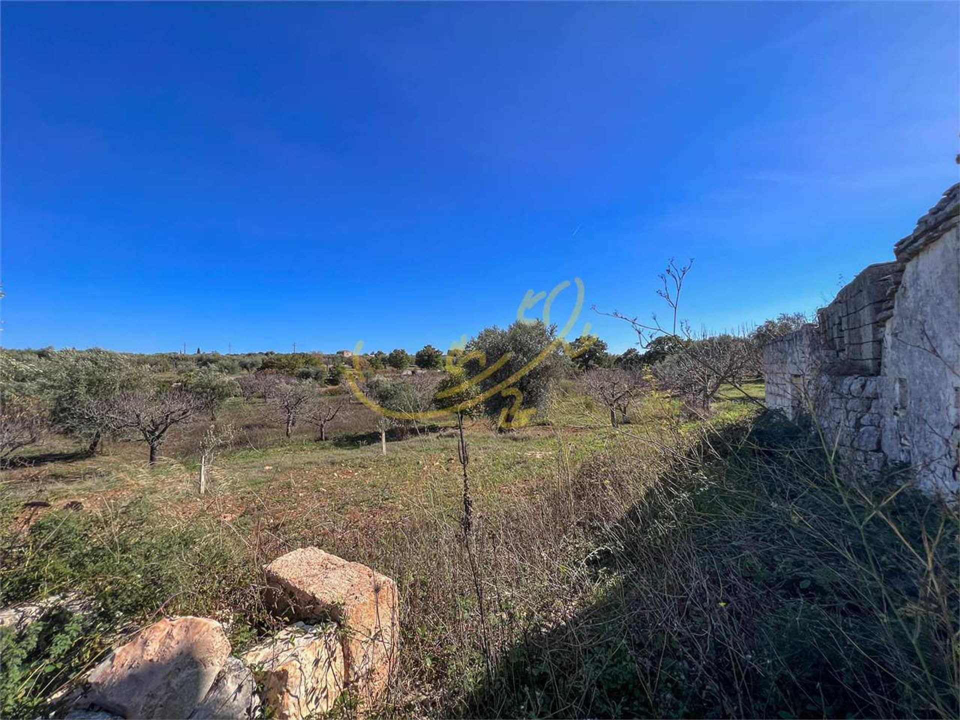 بيت في Castellana Grotte, Apulia 12365798