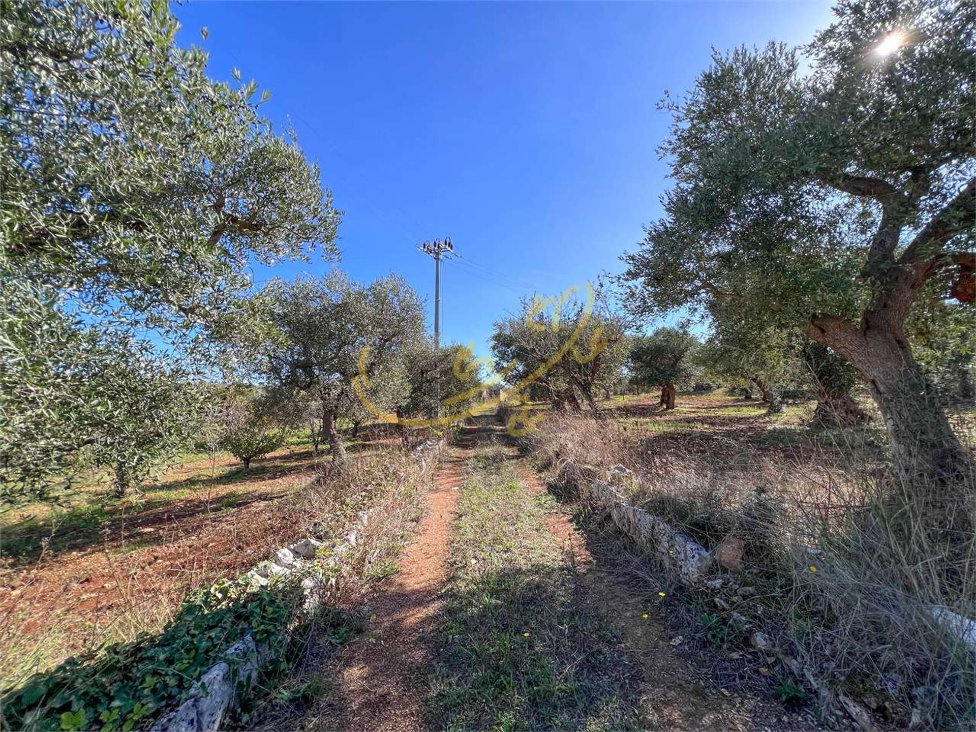 بيت في Castellana Grotte, Apulia 12365798