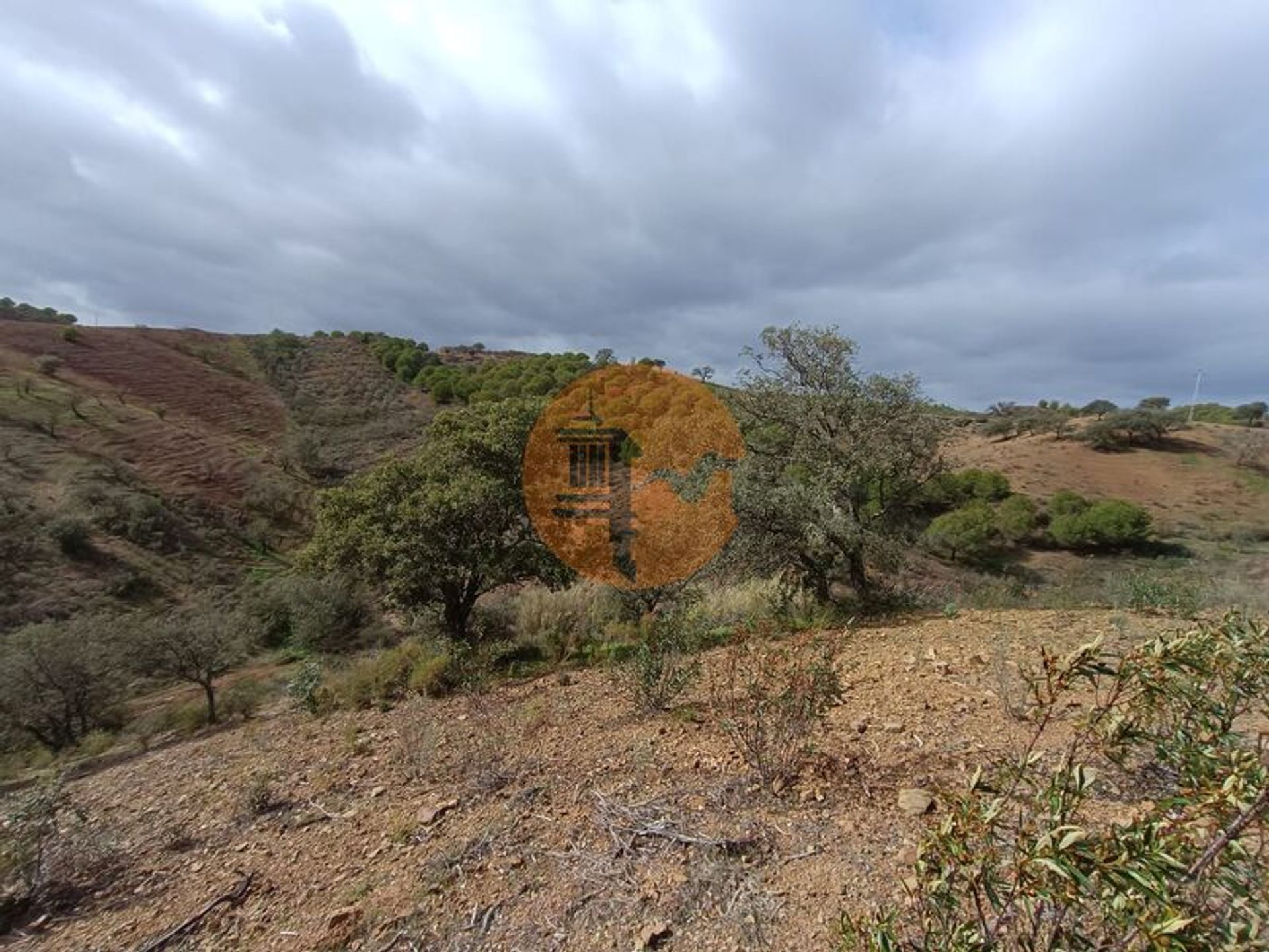 Tierra en azinhal, Faraón 12366868