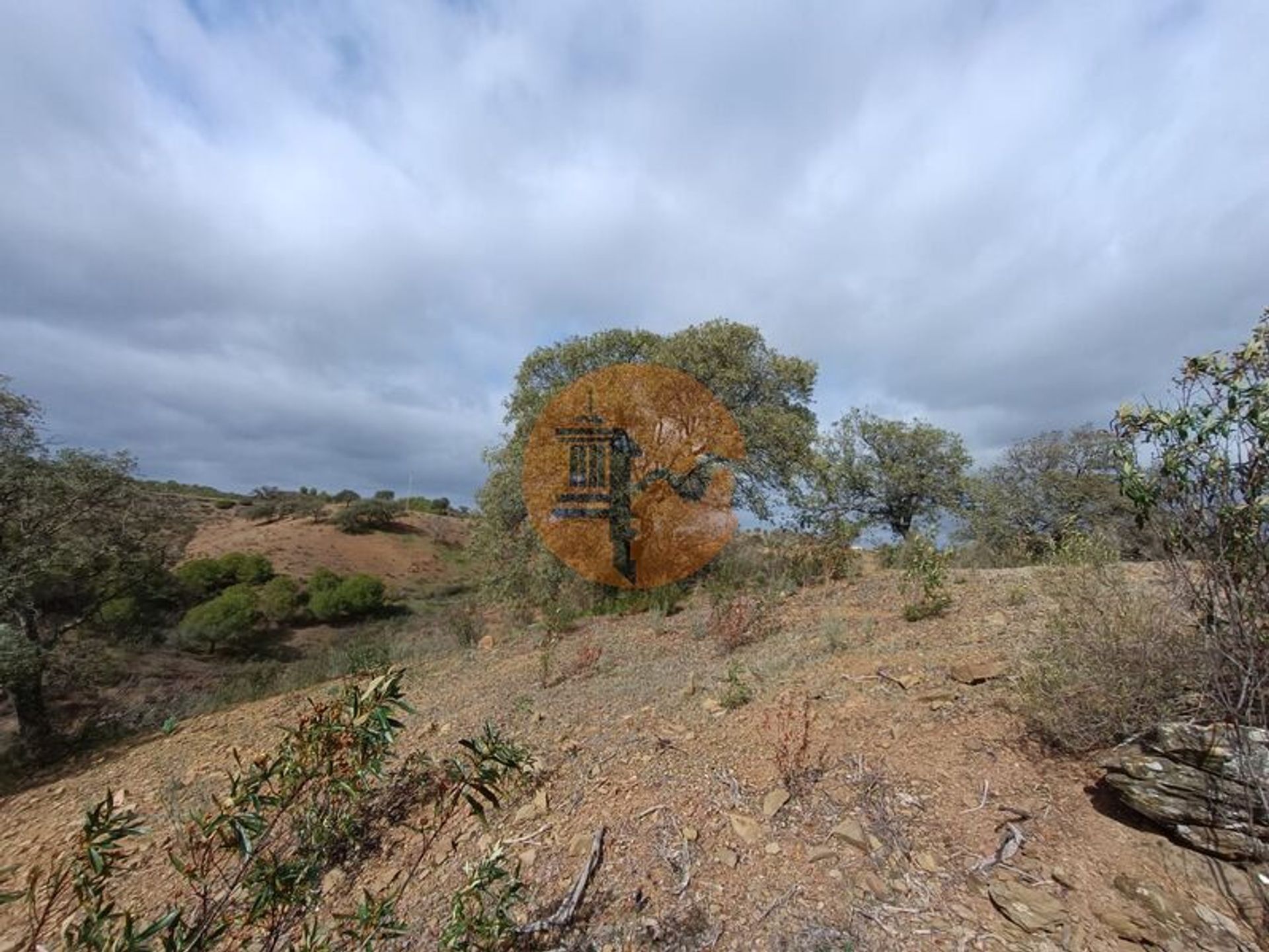 Tierra en azinhal, Faraón 12366868