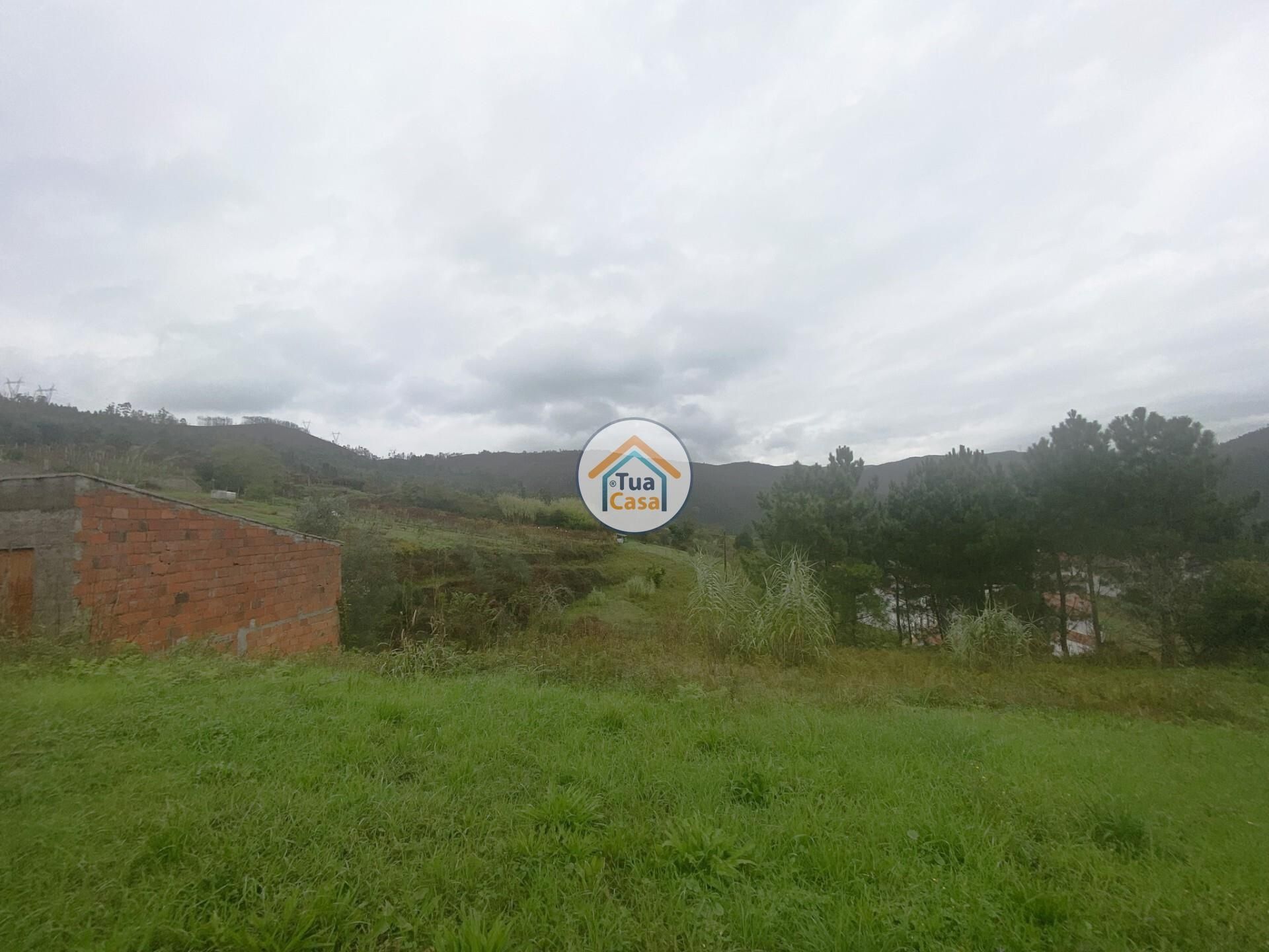 Land i Ceira, Coimbra 12367079