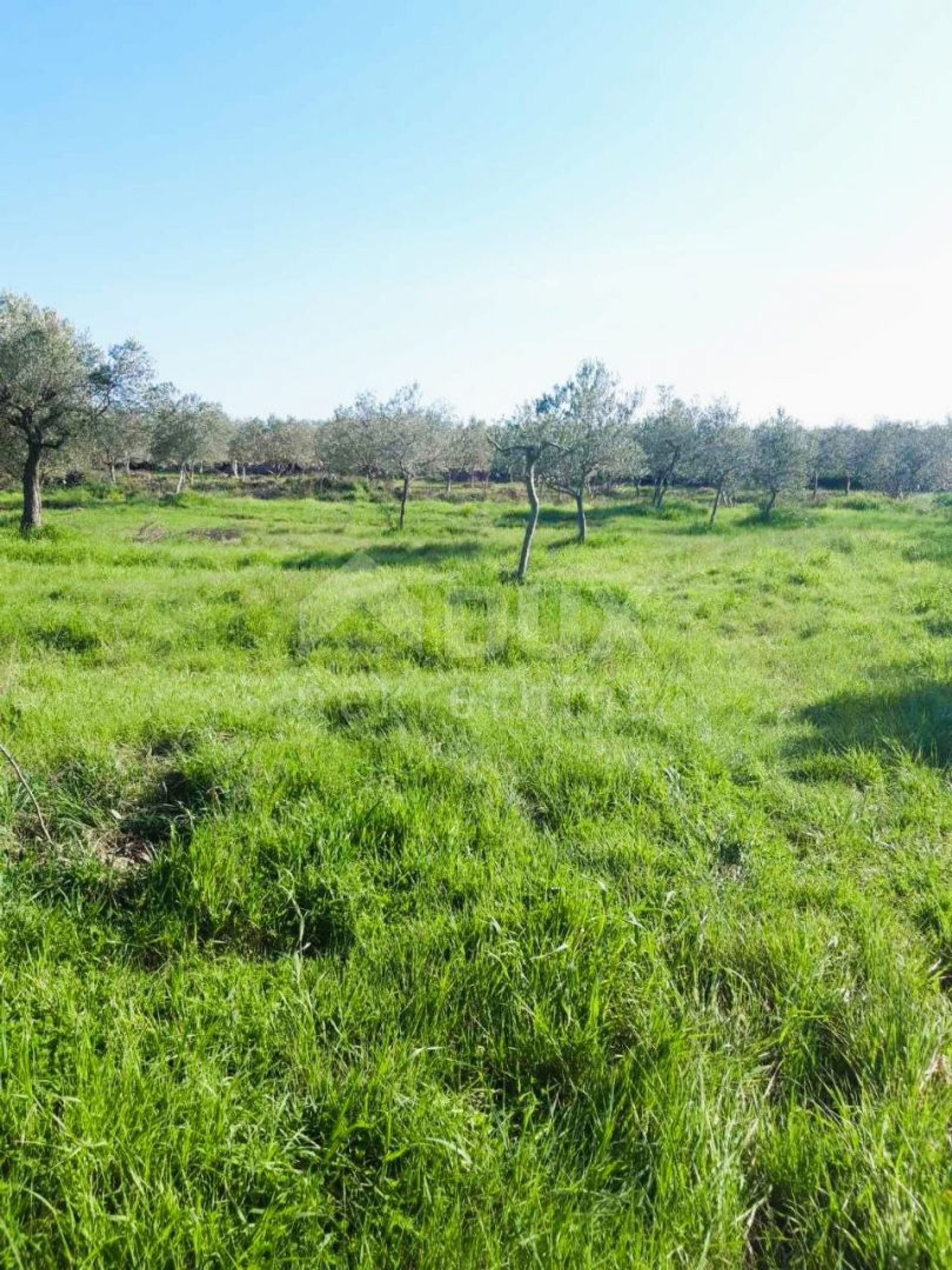 Land i Bale, Istria County 12369328