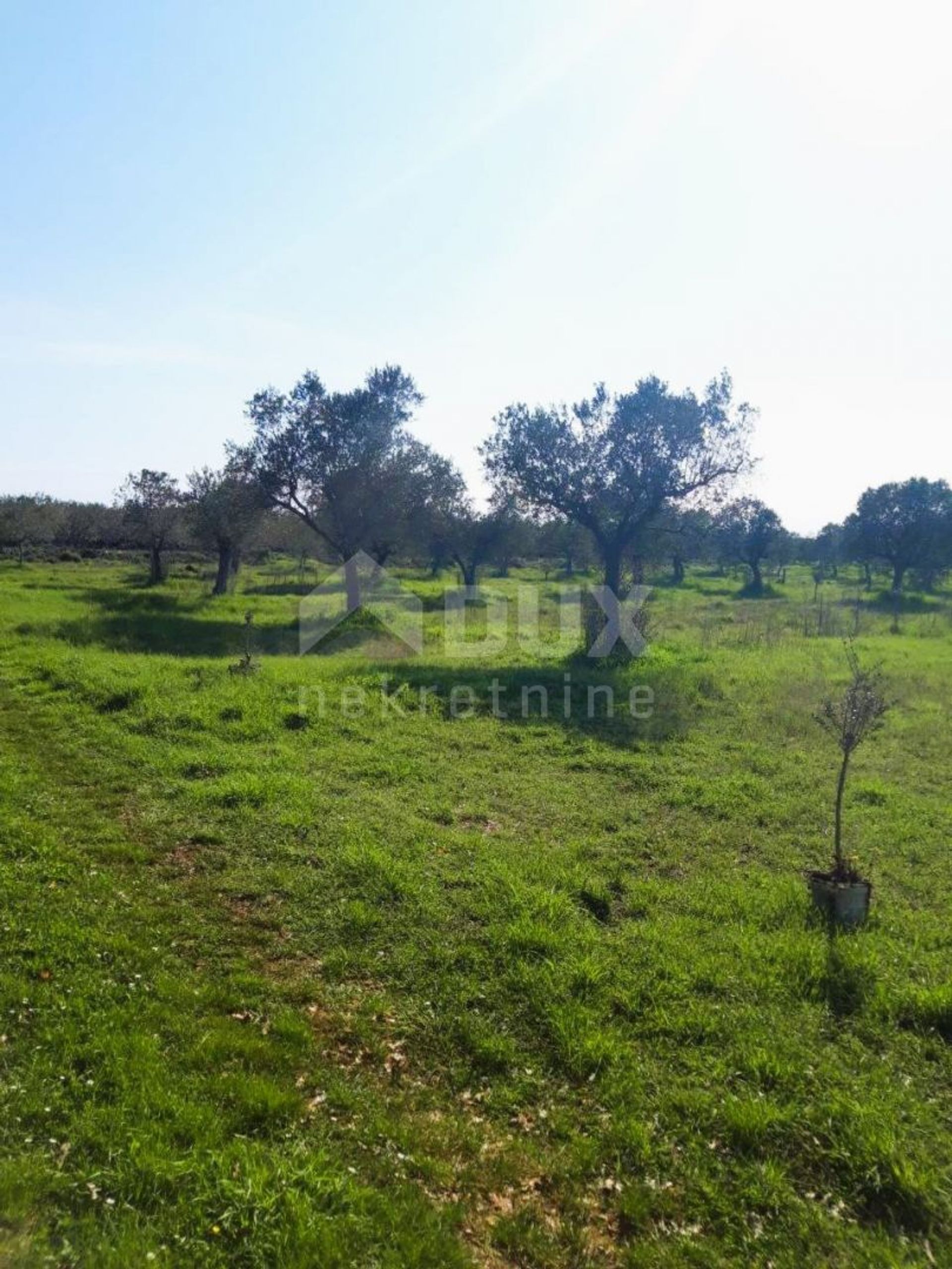 Land i Bale, Istria County 12369328