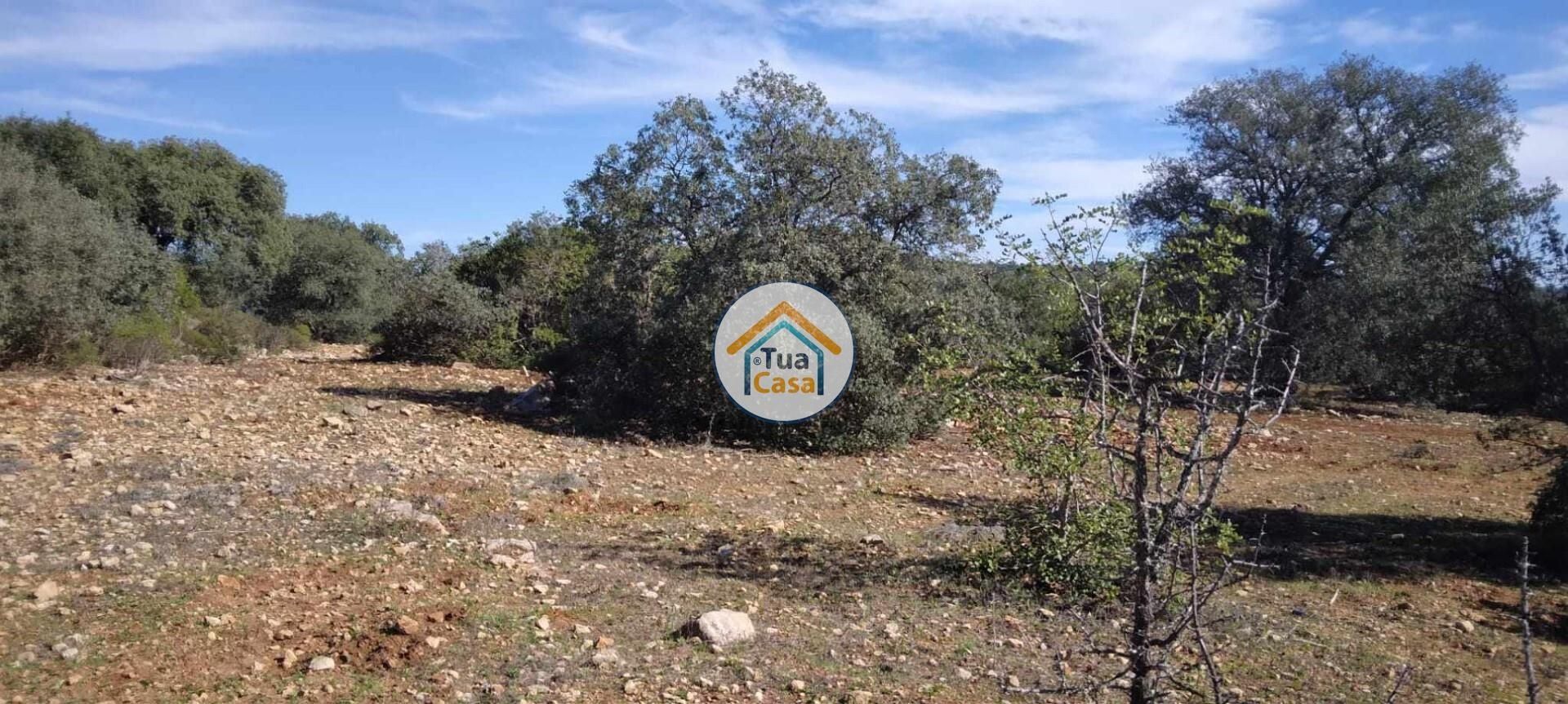 Land in São Brás de Alportel, Faro District 12370159