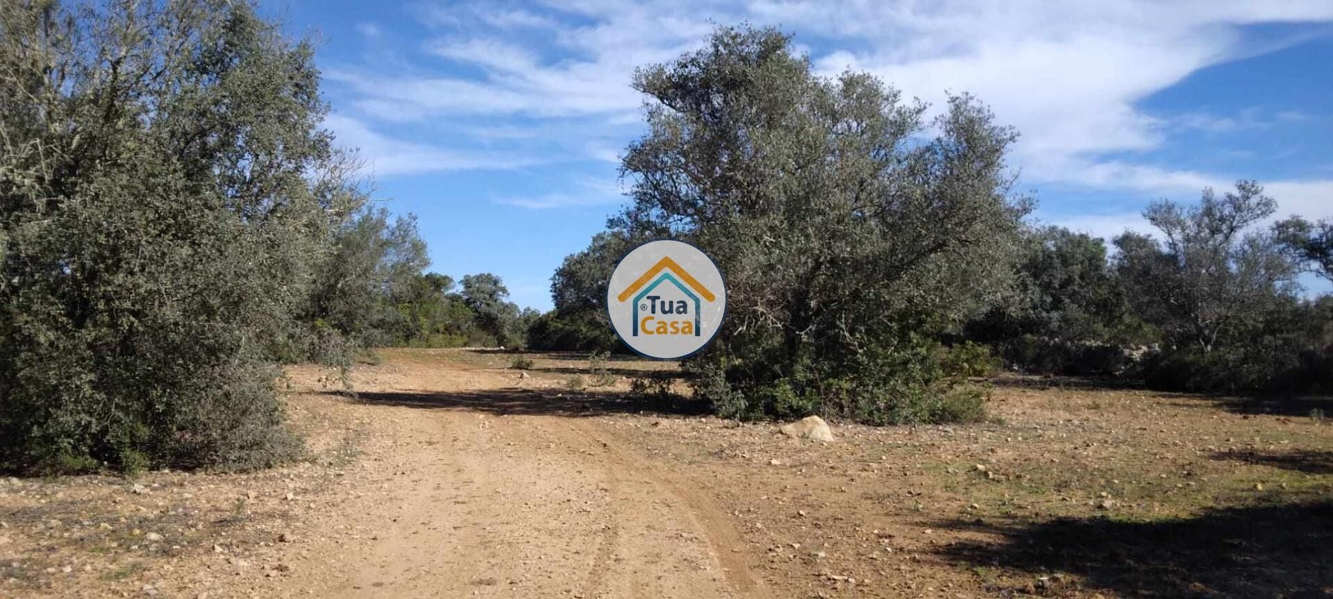 Land in São Brás de Alportel, Faro District 12370159