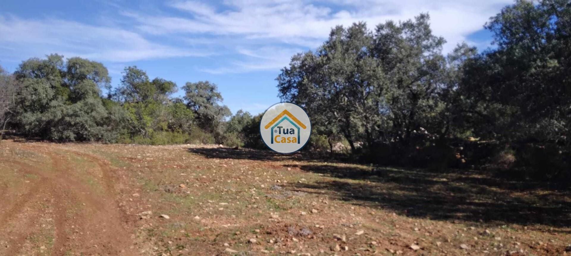 Land in São Brás de Alportel, Faro District 12370159