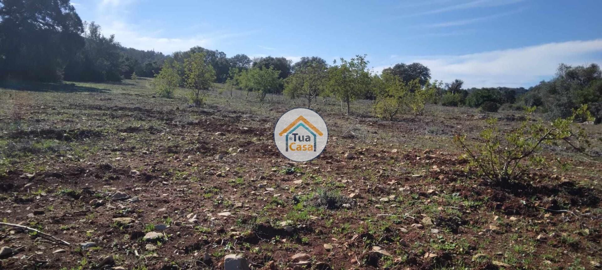 Land in São Brás de Alportel, Faro District 12370159