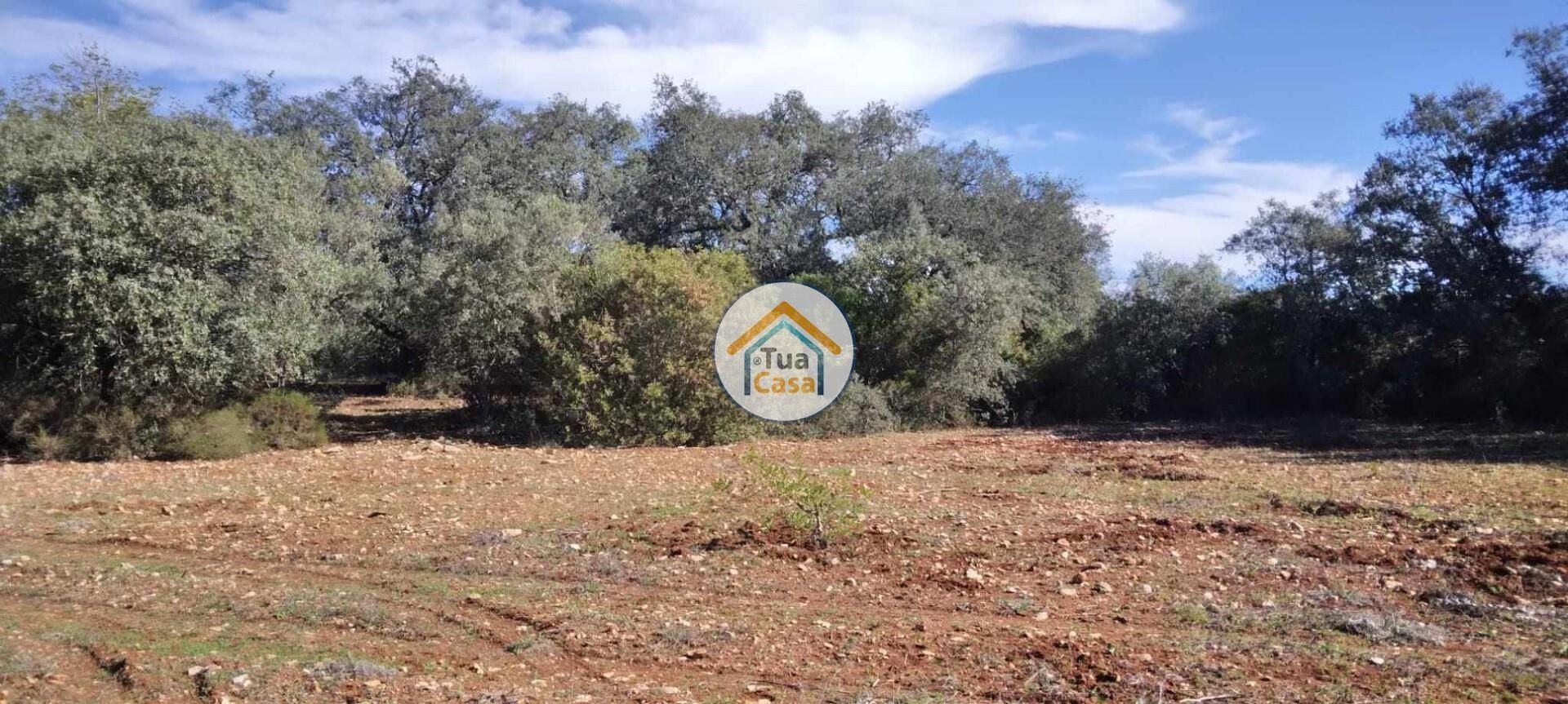 Land in São Brás de Alportel, Faro District 12370159