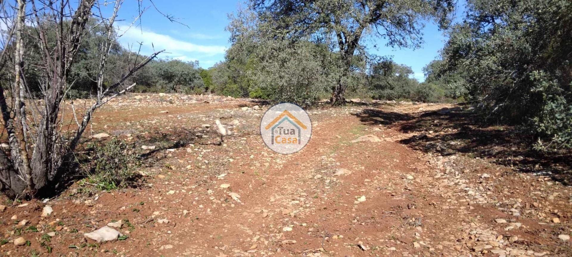 Land in São Brás de Alportel, Faro District 12370159