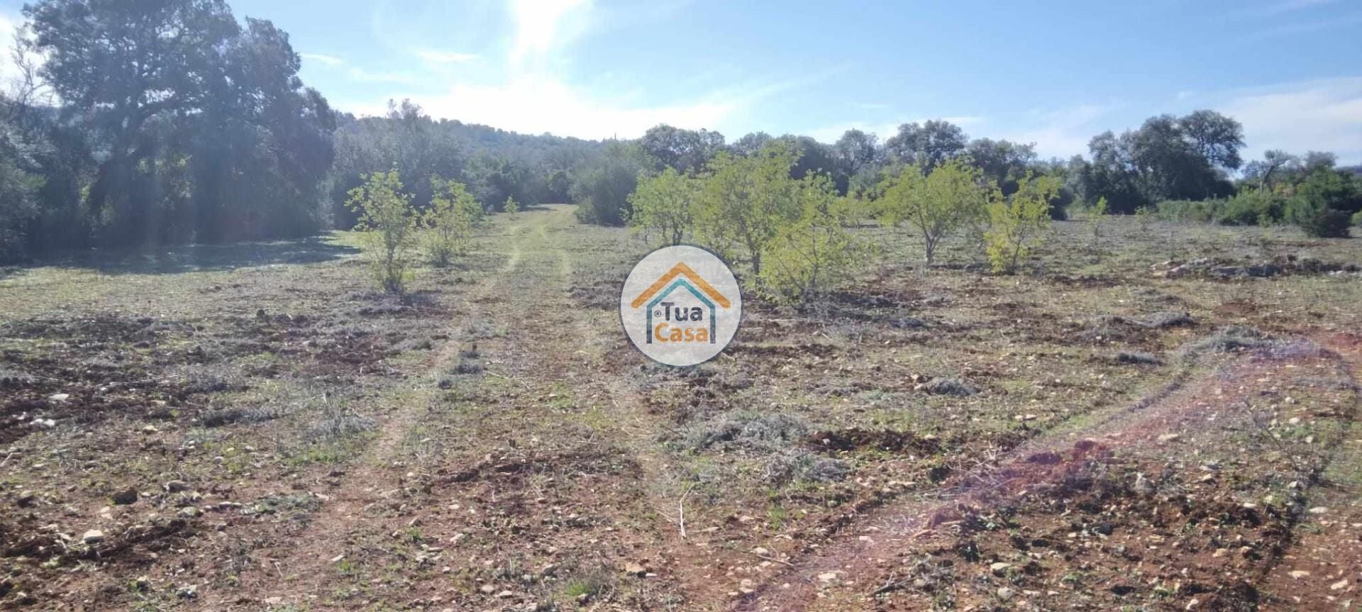 Land in São Brás de Alportel, Faro District 12370159