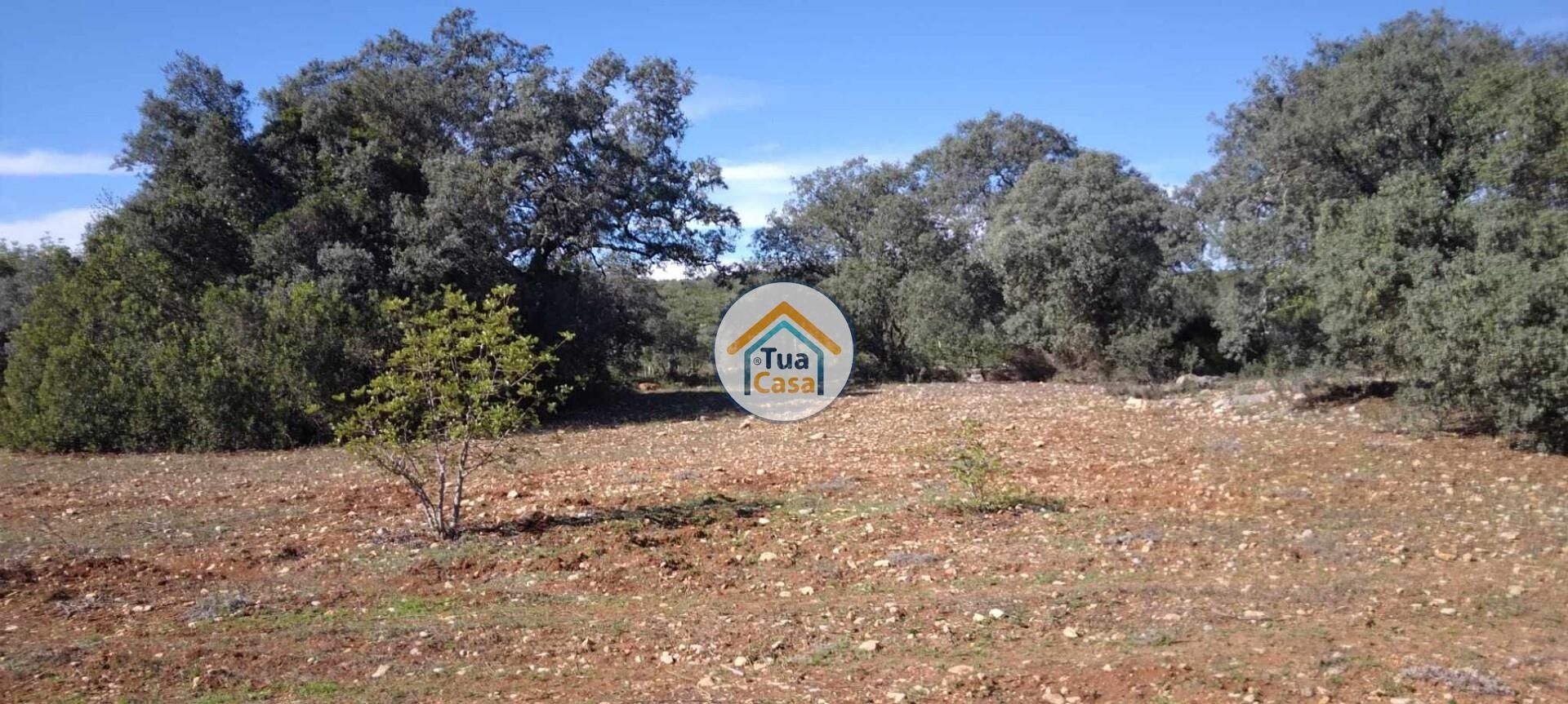 Land in São Brás de Alportel, Faro District 12370159