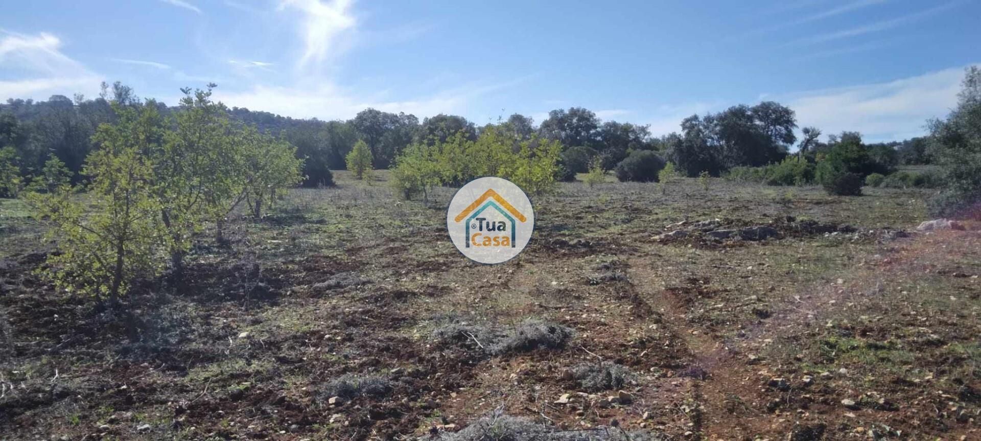 Land in São Brás de Alportel, Faro District 12370159