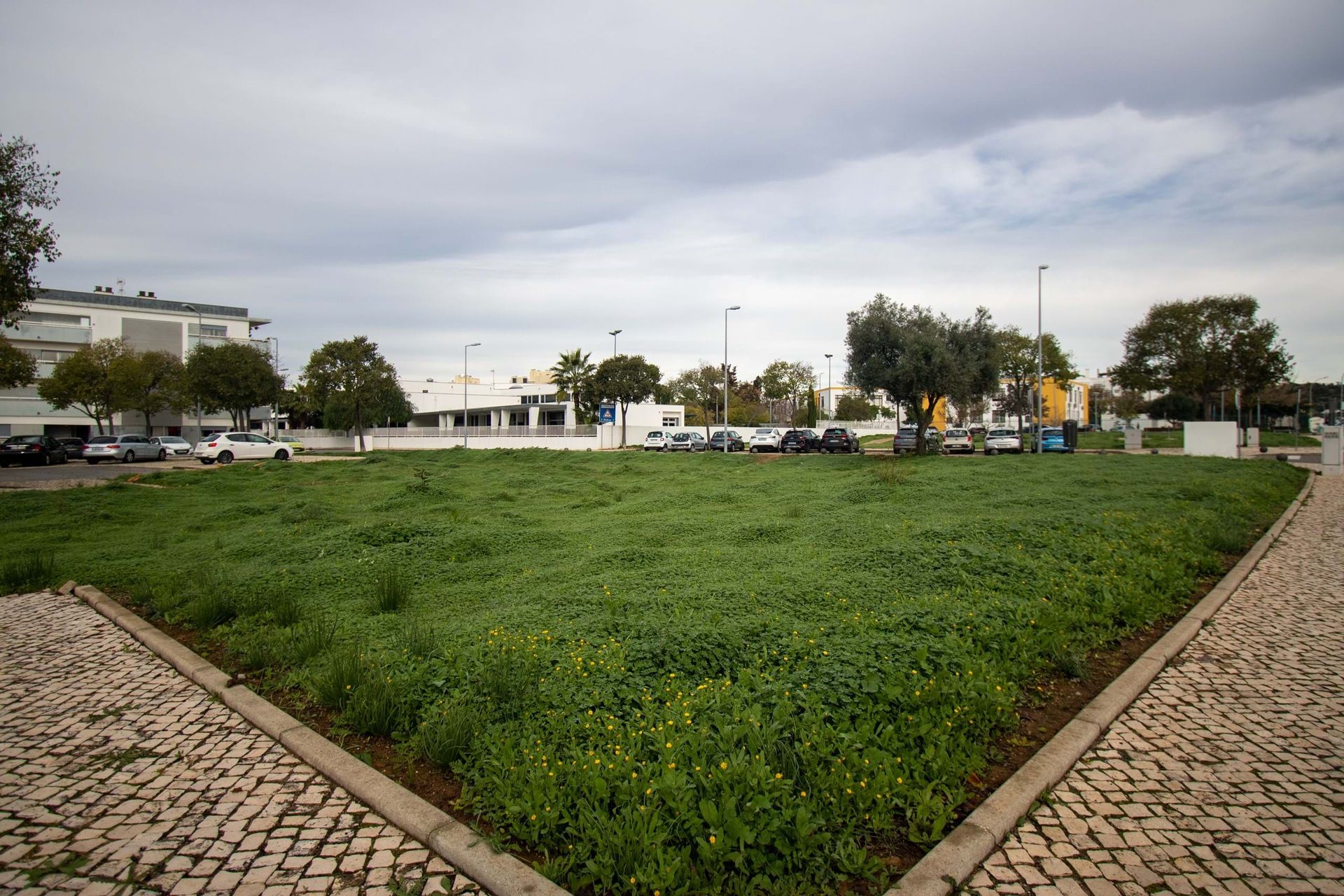 Tierra en Loulé, Faraón 12371403