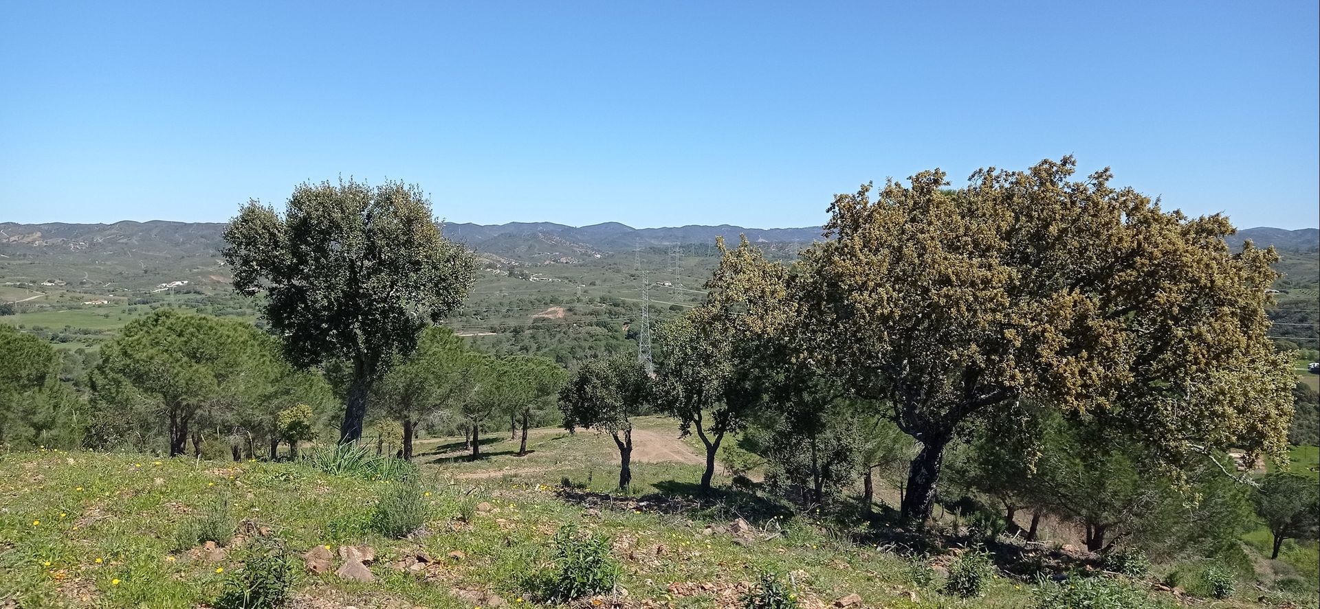 Casa nel Silves, Faro 12371547