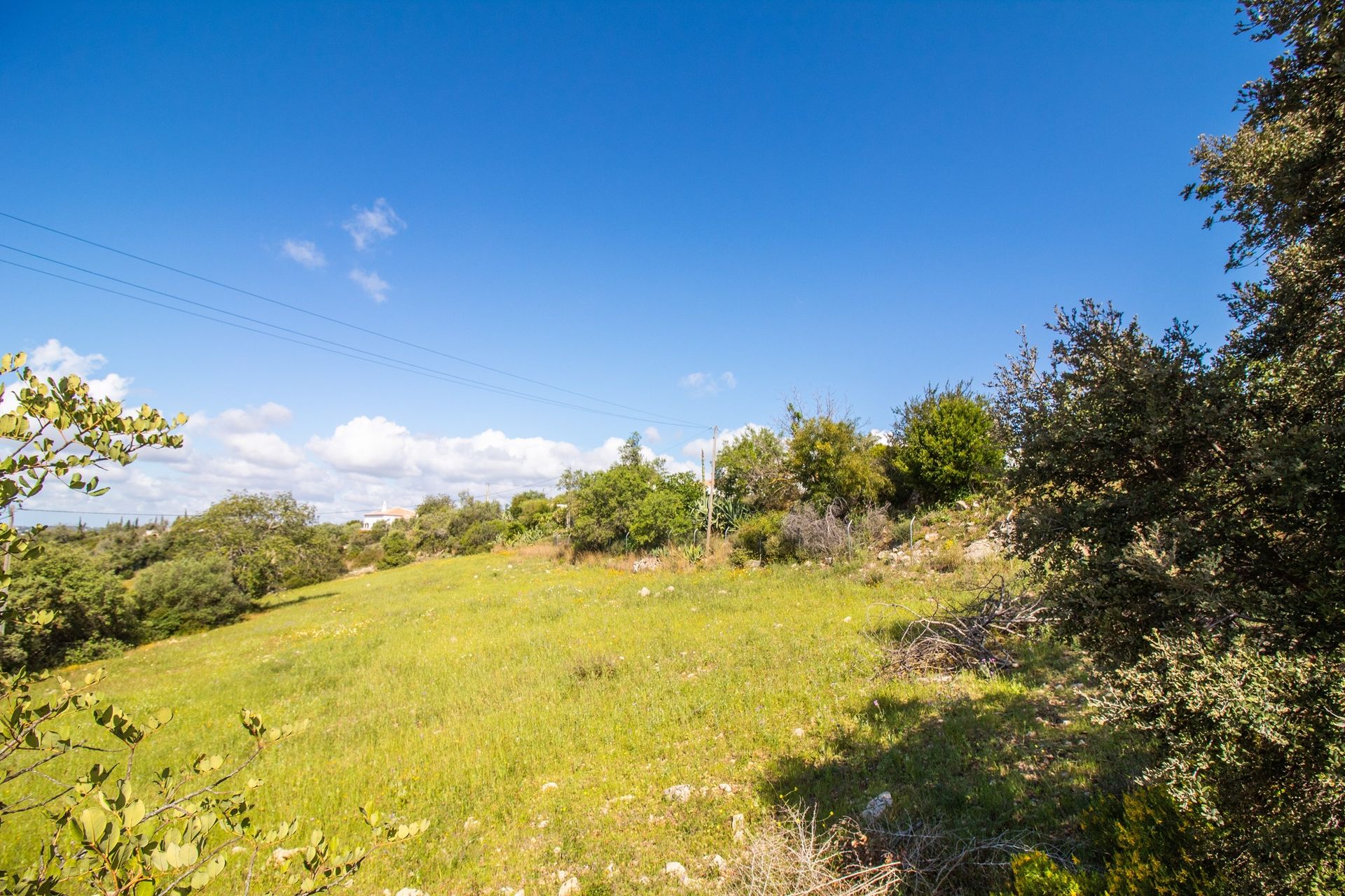 Hus i São Brás de Alportel, Faro District 12371579