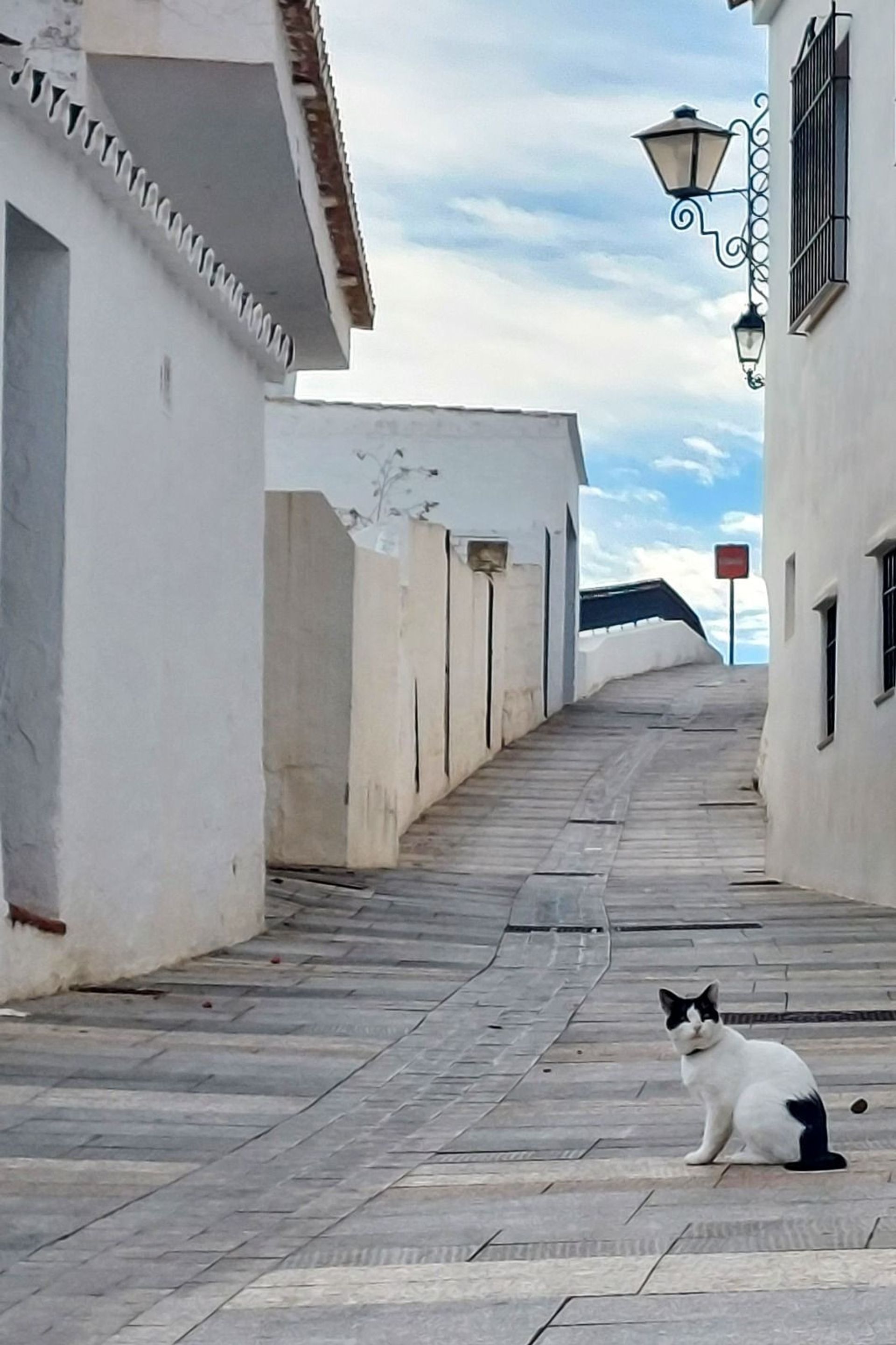 Osakehuoneisto sisään Mijas, Andalusia 12371757