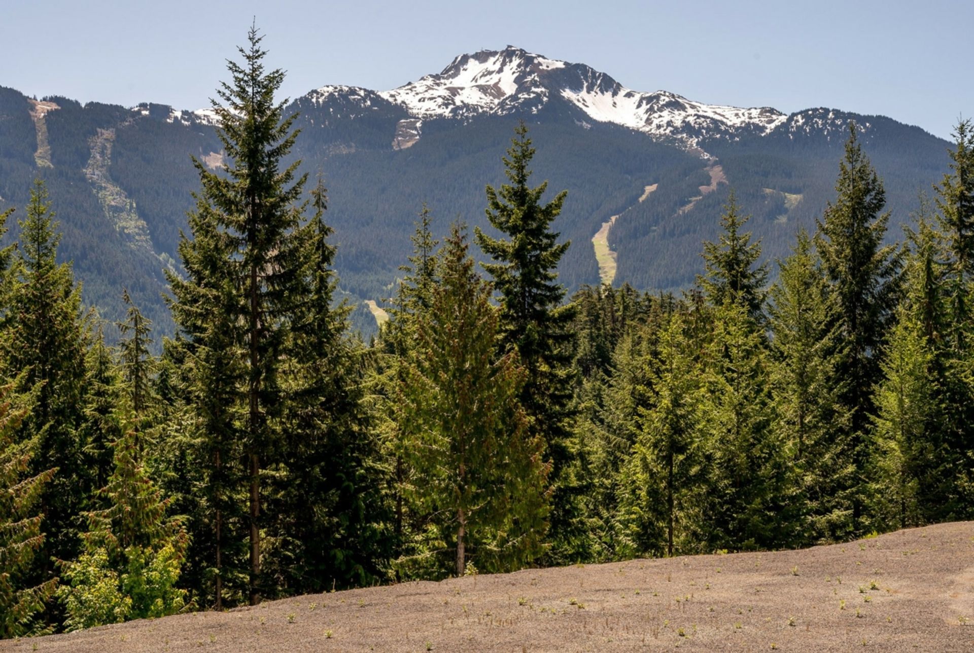 土地 在 Whistler, 不列颠哥伦比亚省 12372312