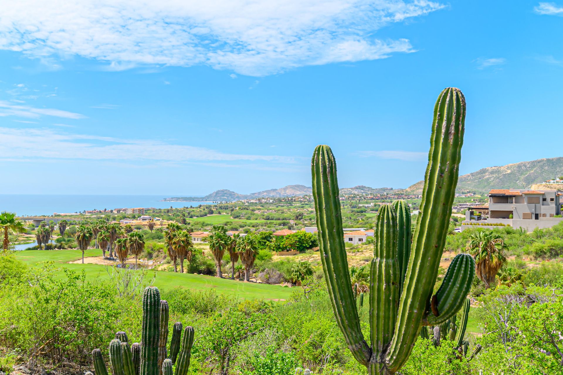 Rumah di San José del Cabo, Baja California Sur 12372801