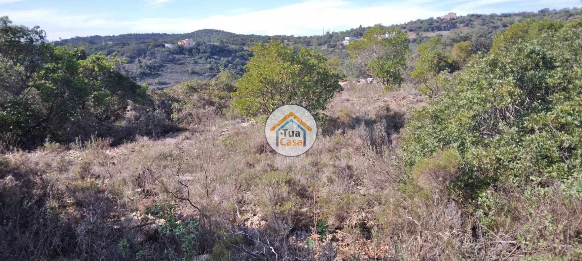 Terre dans São Brás de Alportel, Faro District 12373049