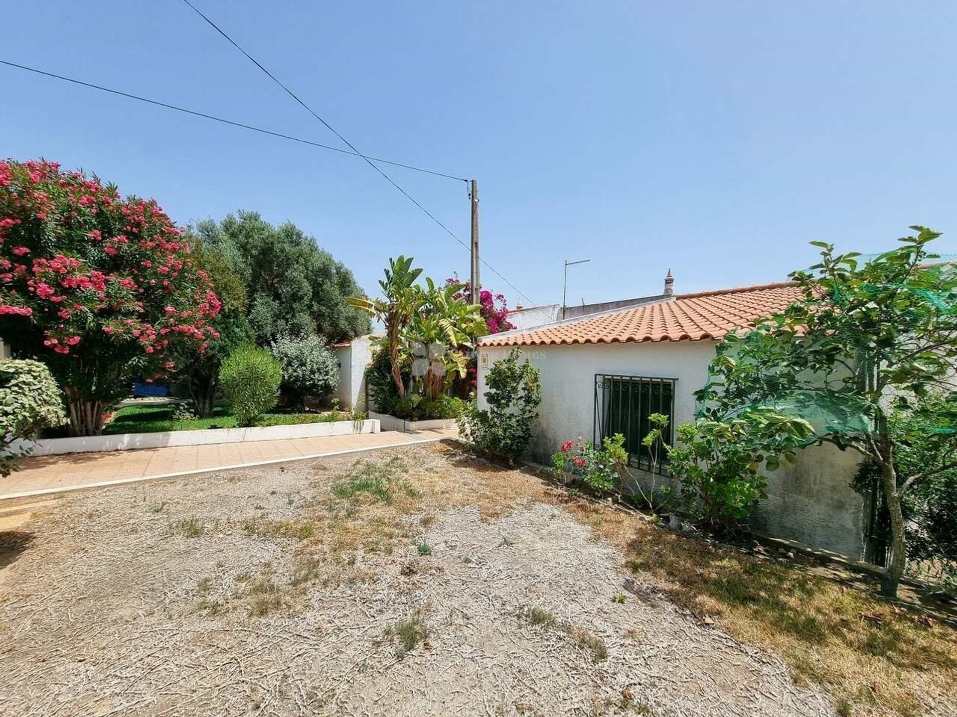 Haus im Algoz, Faro 12373571