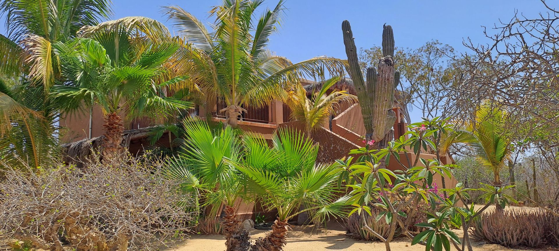 House in San Jose del Cabo, Baja California Sur 12375086