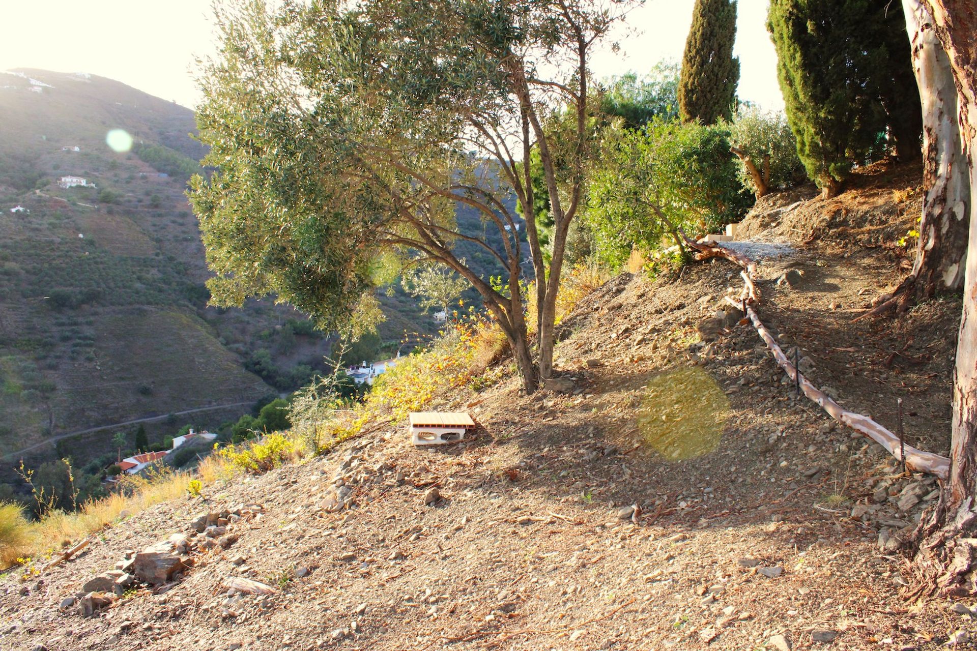 loger dans Cómpeta, Andalucía 12375381