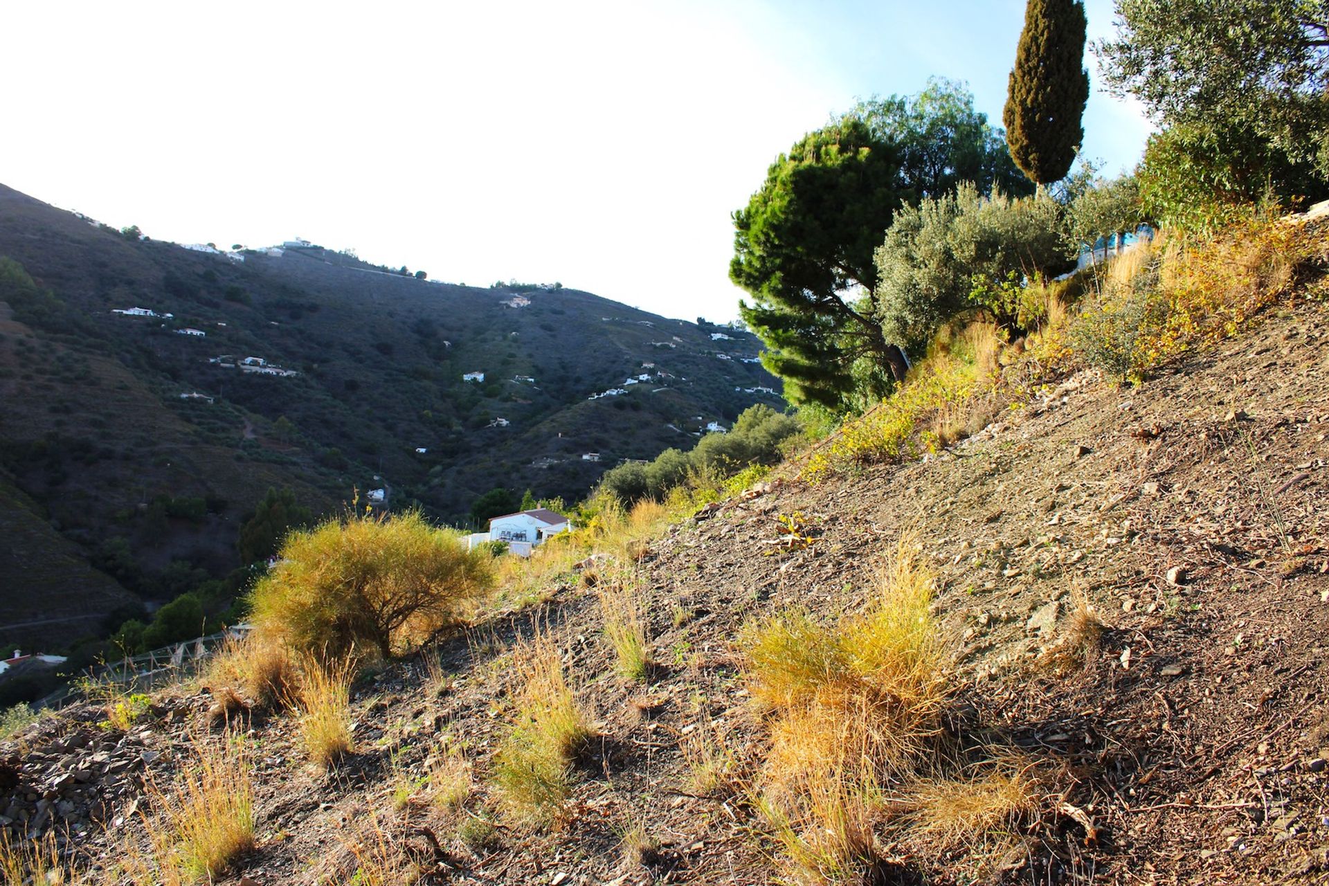 loger dans Cómpeta, Andalucía 12375381