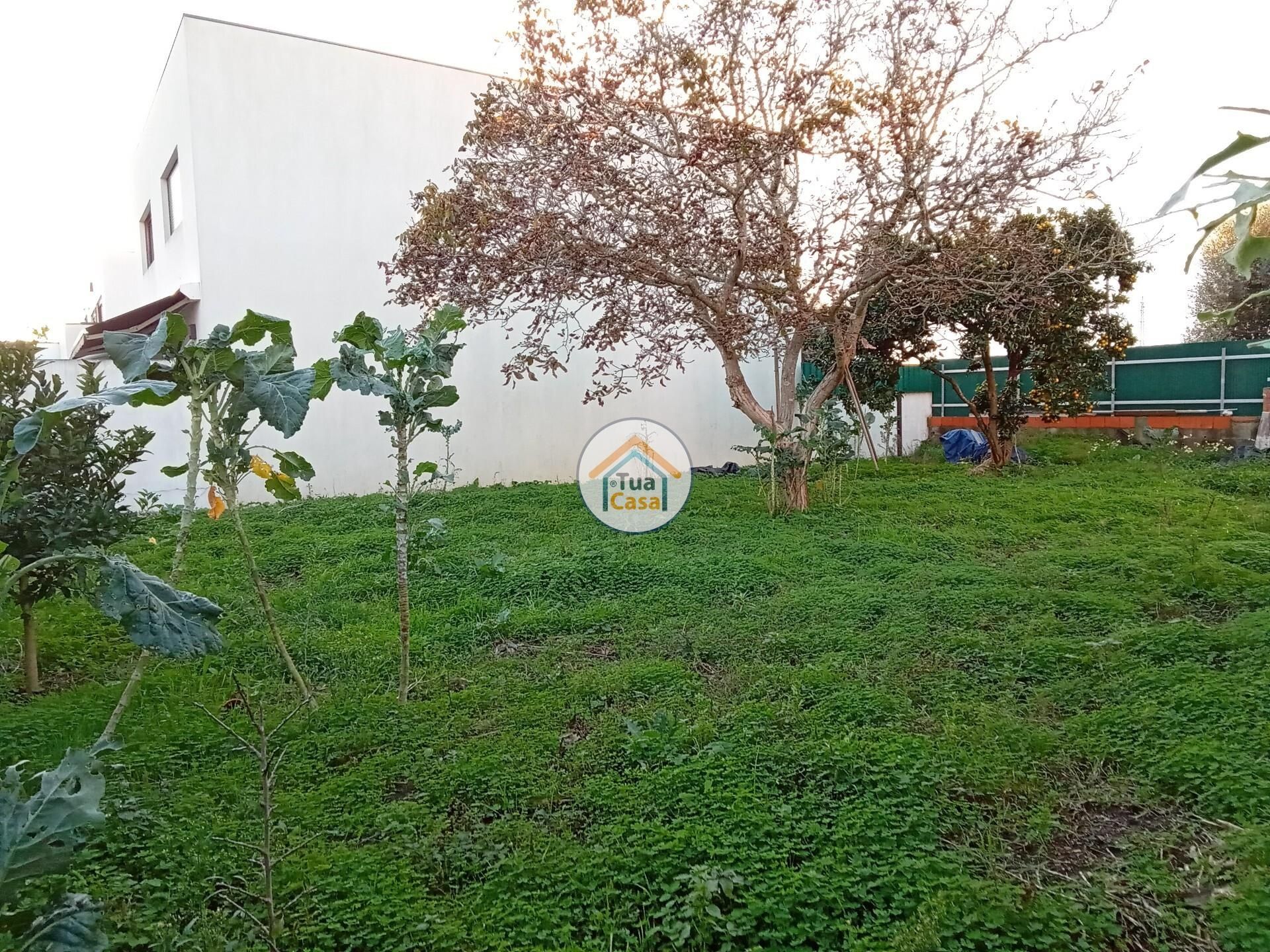 Tierra en Barro, Aveiro 12375388