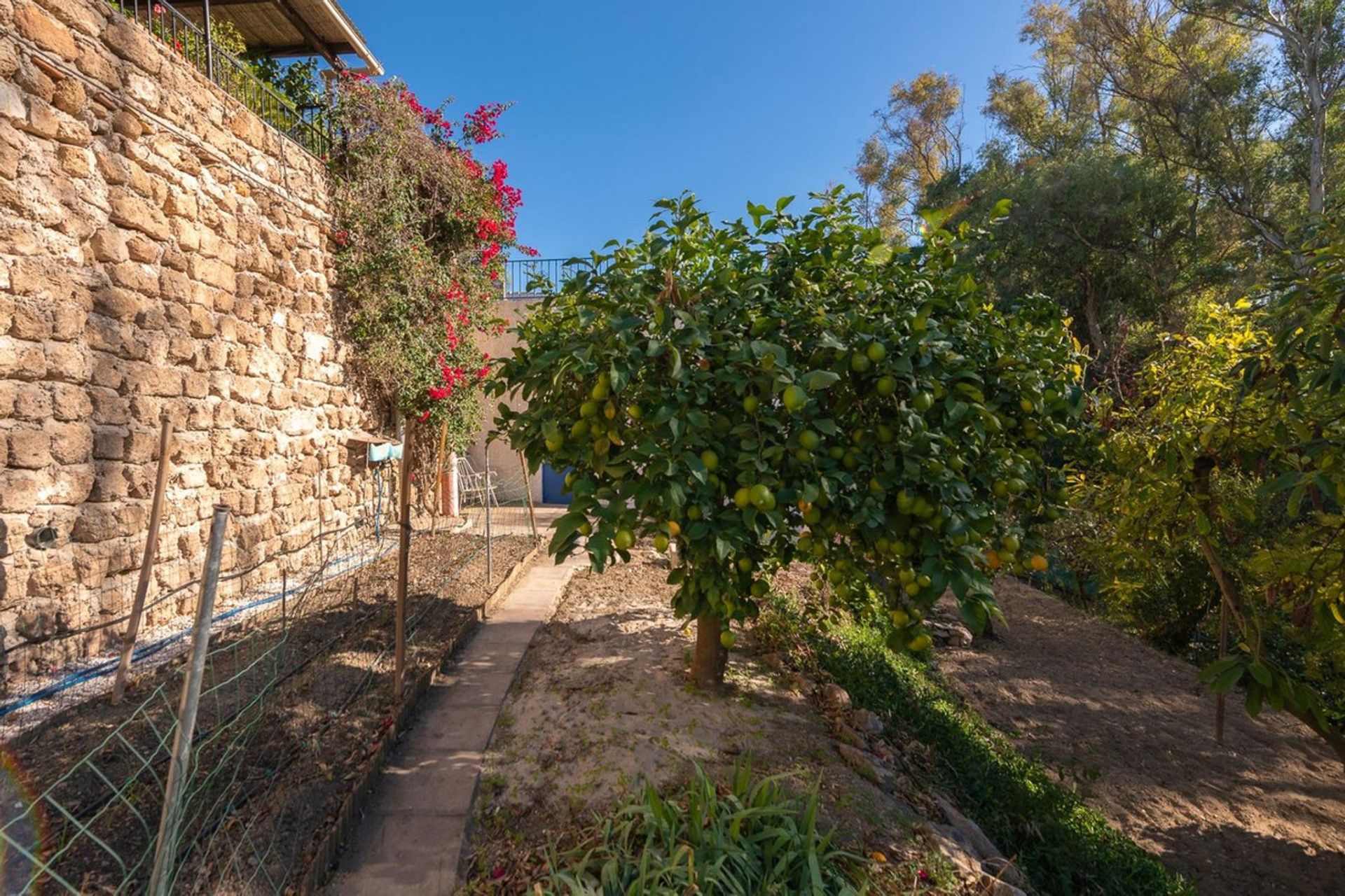 Huis in Alhaurín el Grande, Andalusia 12376788