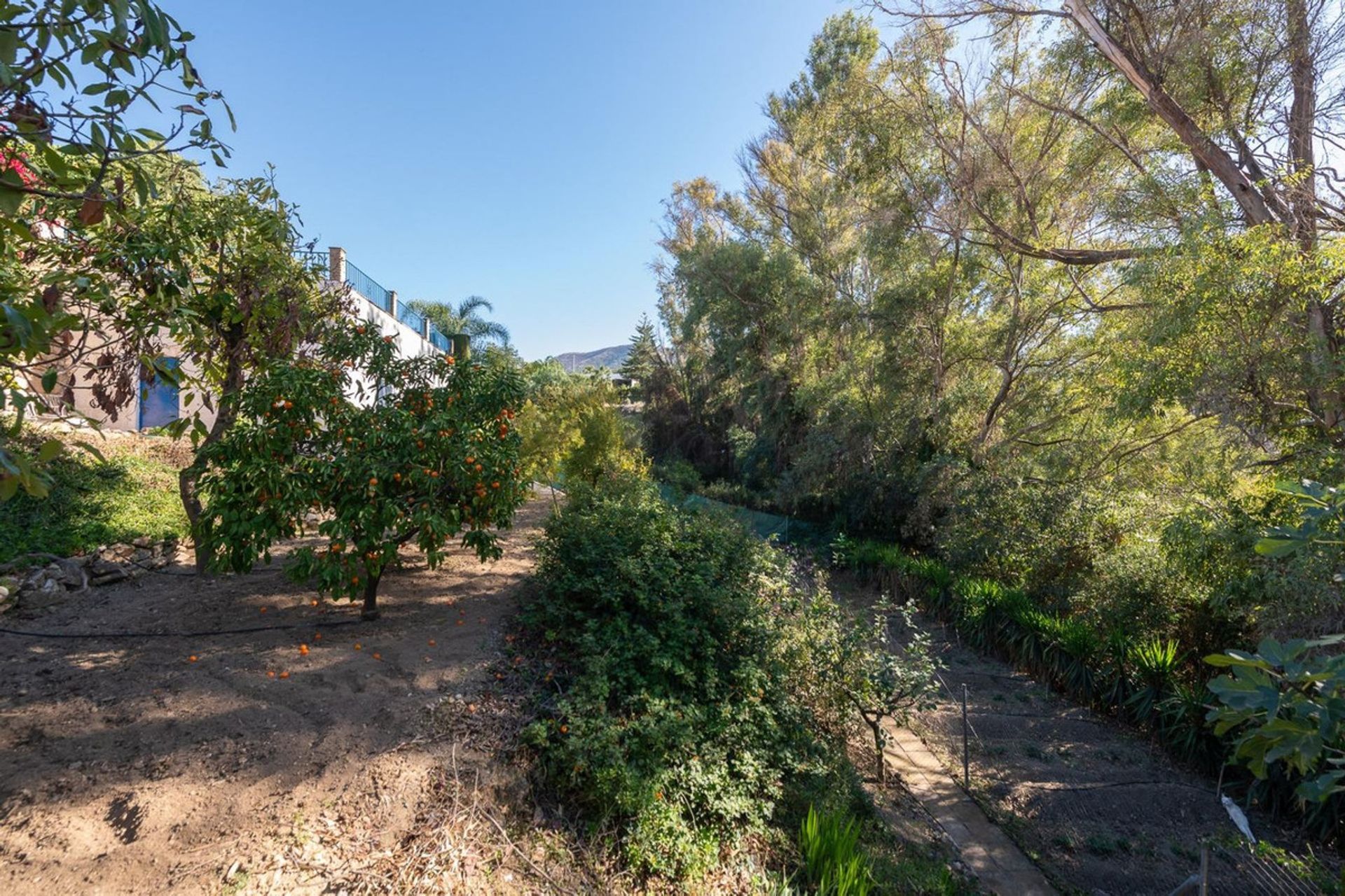 Huis in Alhaurín el Grande, Andalusia 12376788