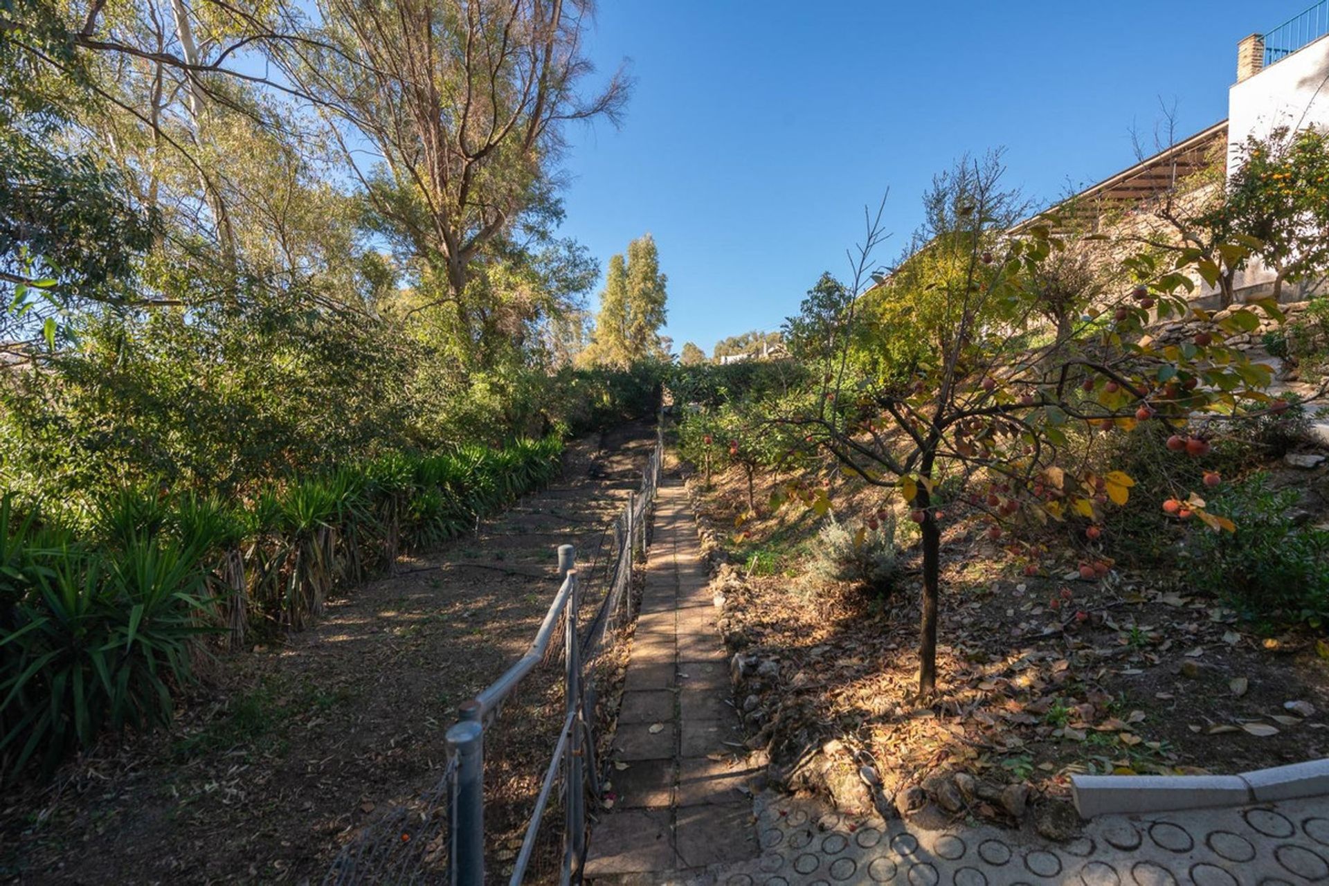 Huis in Alhaurín el Grande, Andalusia 12376788