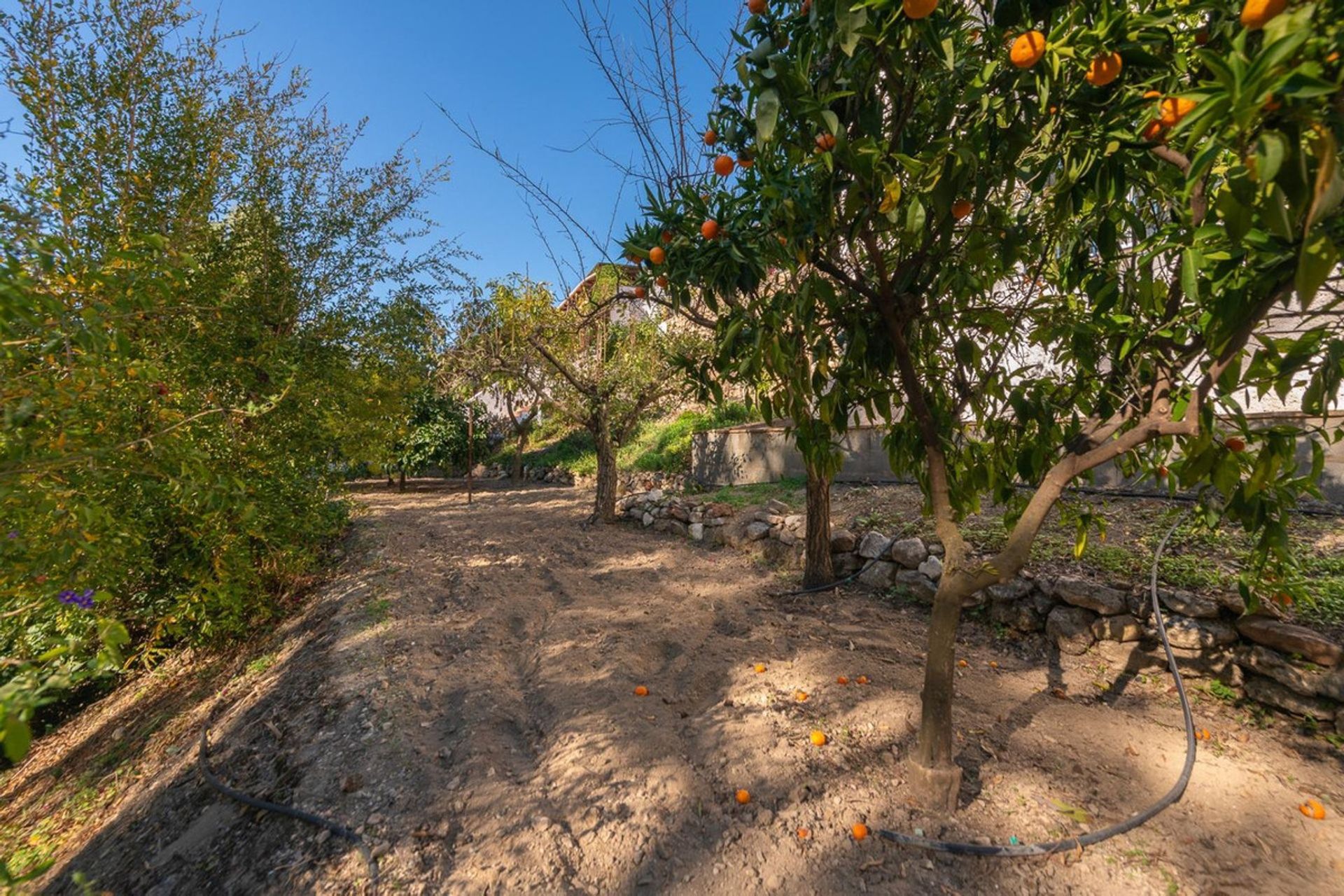 Huis in Alhaurín el Grande, Andalusia 12376788