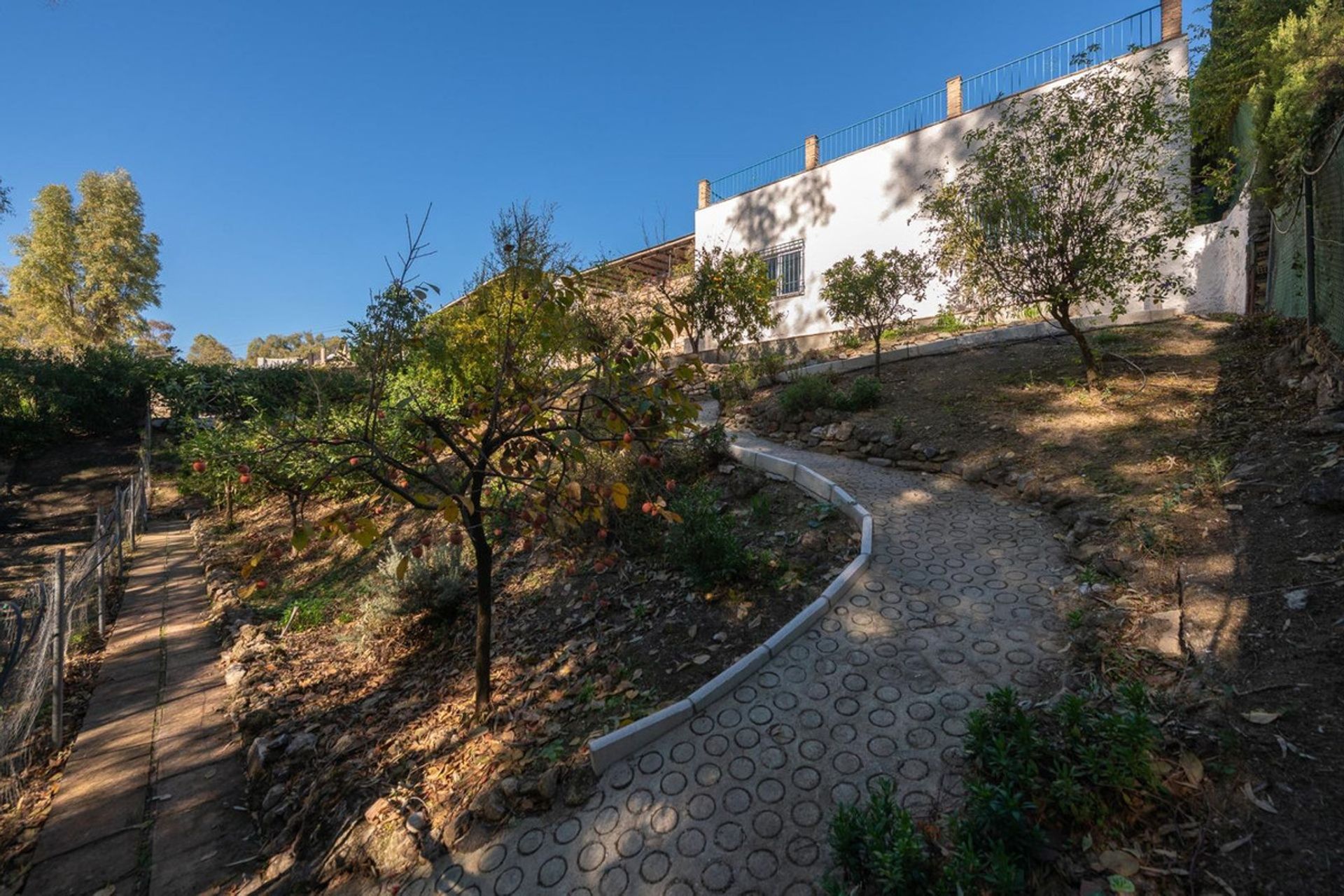 Huis in Alhaurín el Grande, Andalusia 12376788