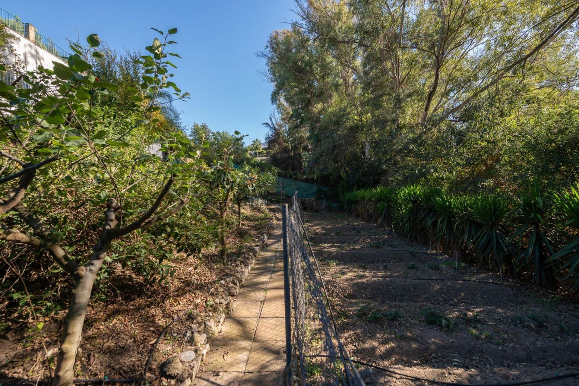 Huis in Alhaurín el Grande, Andalusia 12376788