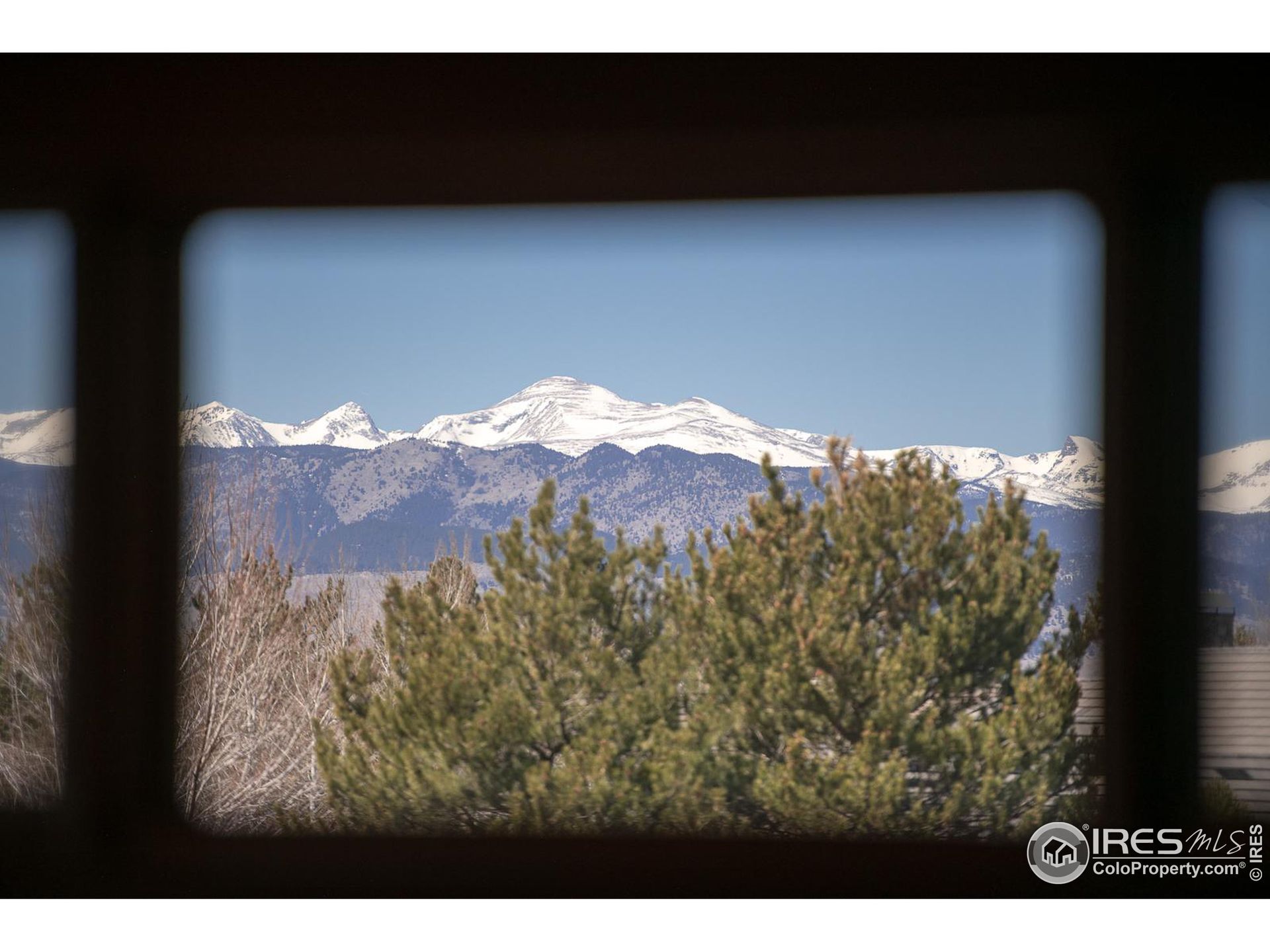 房子 在 Niwot, Colorado 12377475