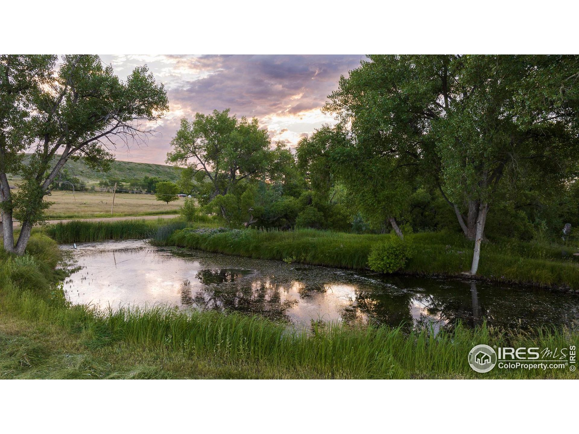 casa no Longmont, Colorado 12377494