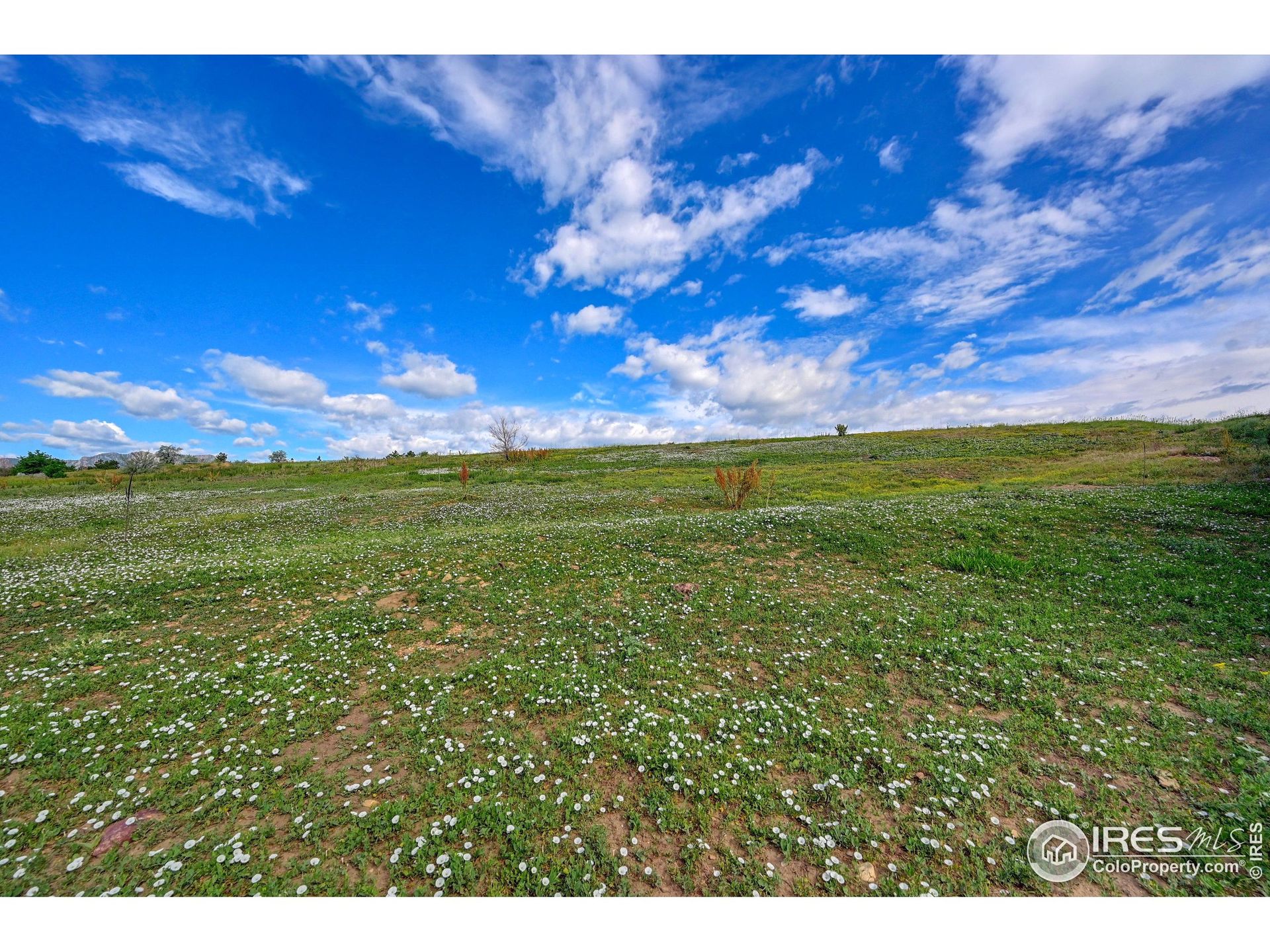 Land in Paragon Estates, Colorado 12377526