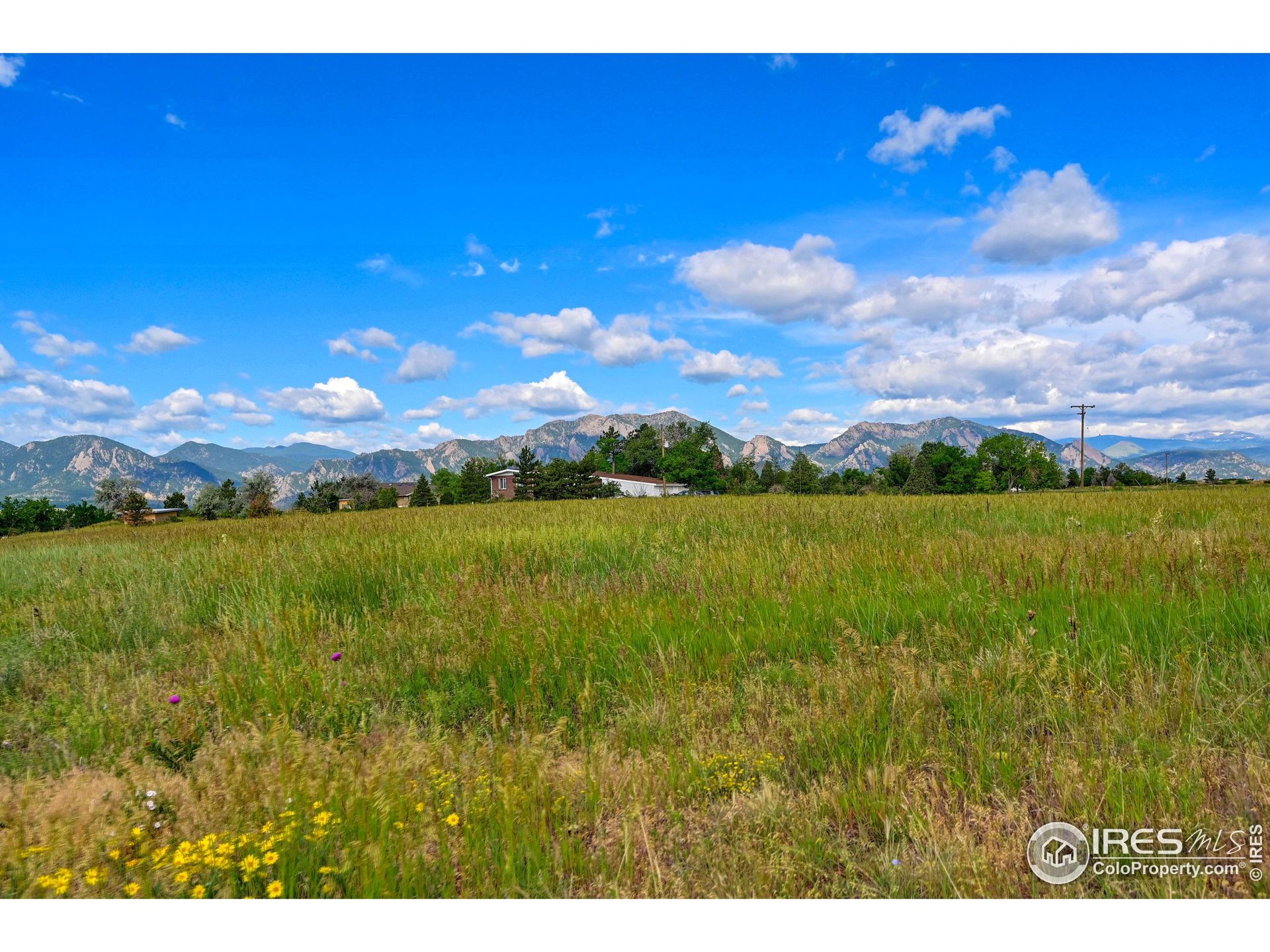 Land in Paragon Estates, Colorado 12377526