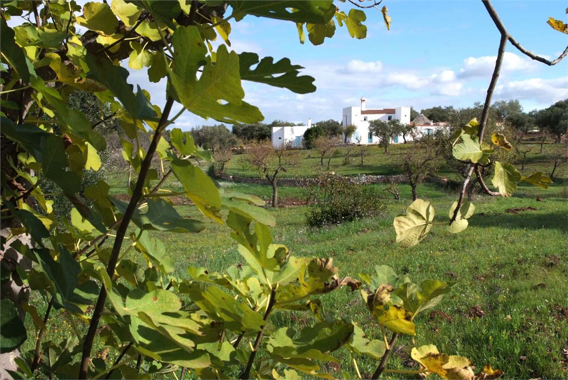 Hus i Castellana Grotte, Apulia 12380096