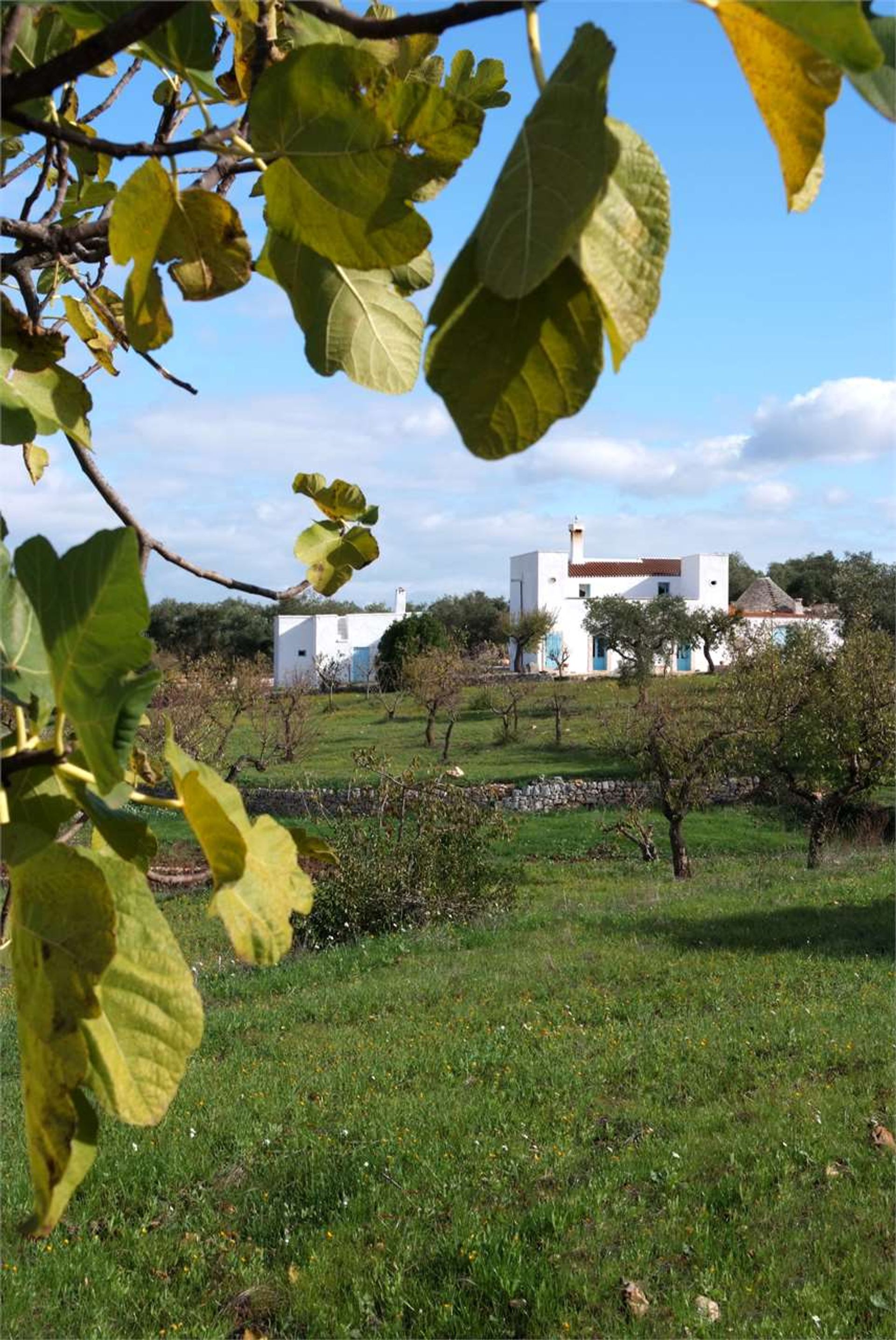 Hus i Castellana Grotte, Apulia 12380096