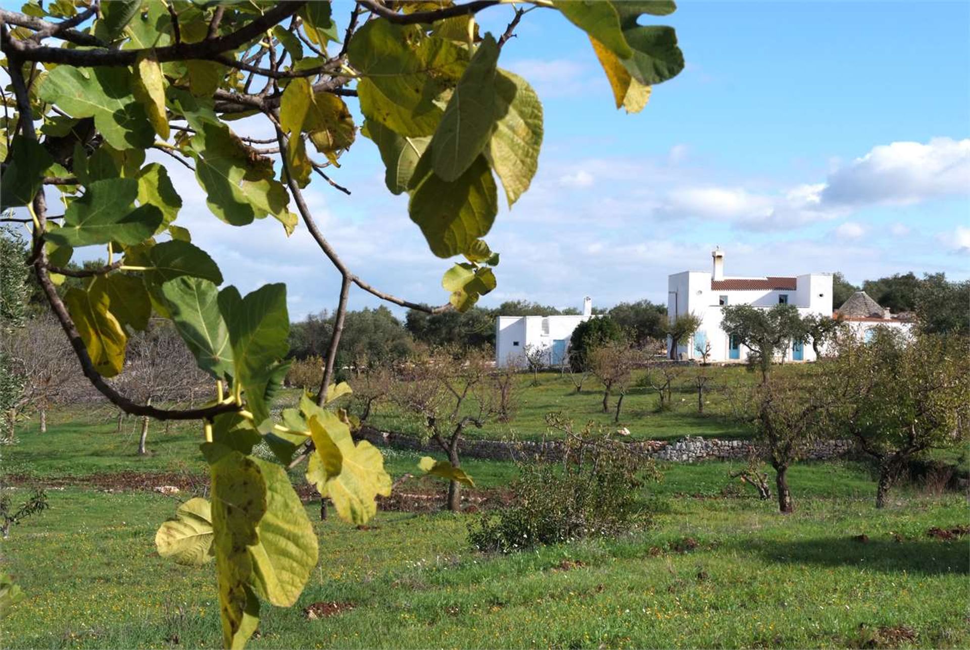 Hus i Castellana Grotte, Apulia 12380096