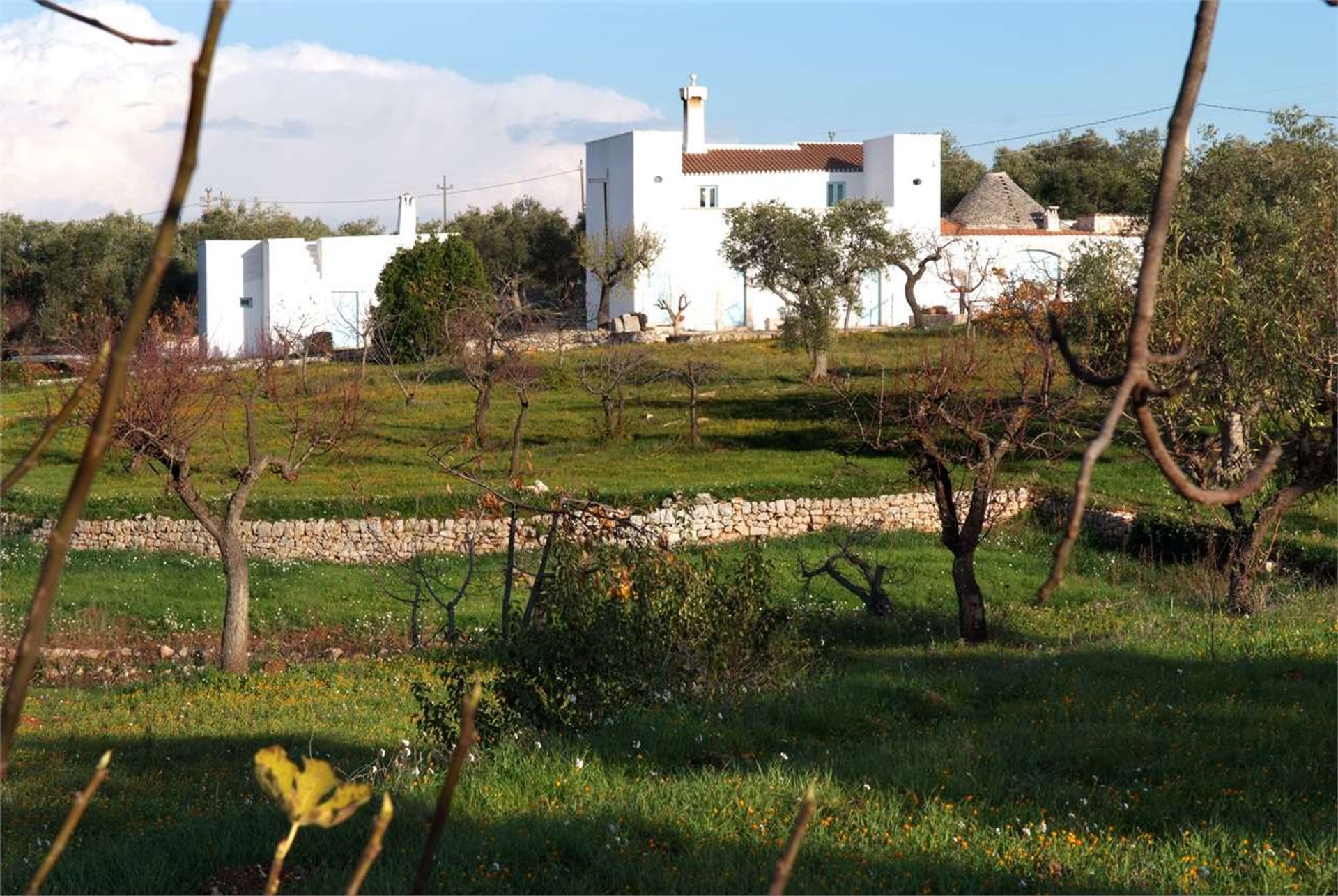 Dom w Castellana Grotte, Apulia 12380096